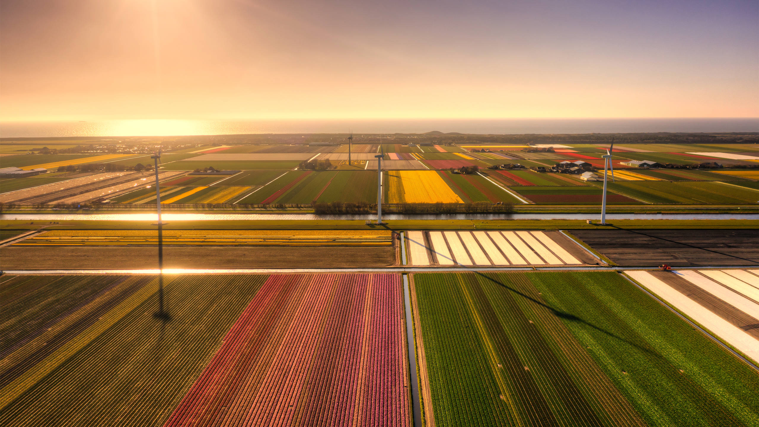 奇幻梦境,农田,五彩斑斓,日出