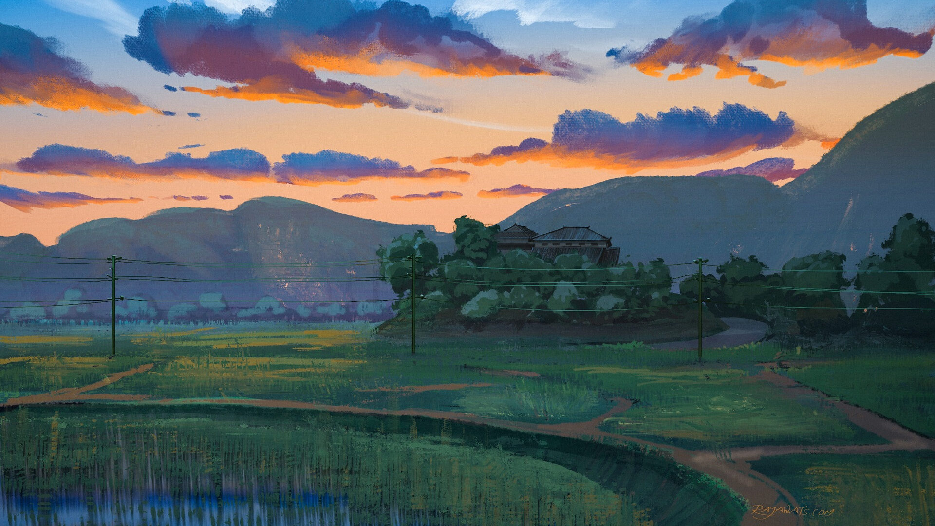 晚霞,乡村,稻田,电线杆