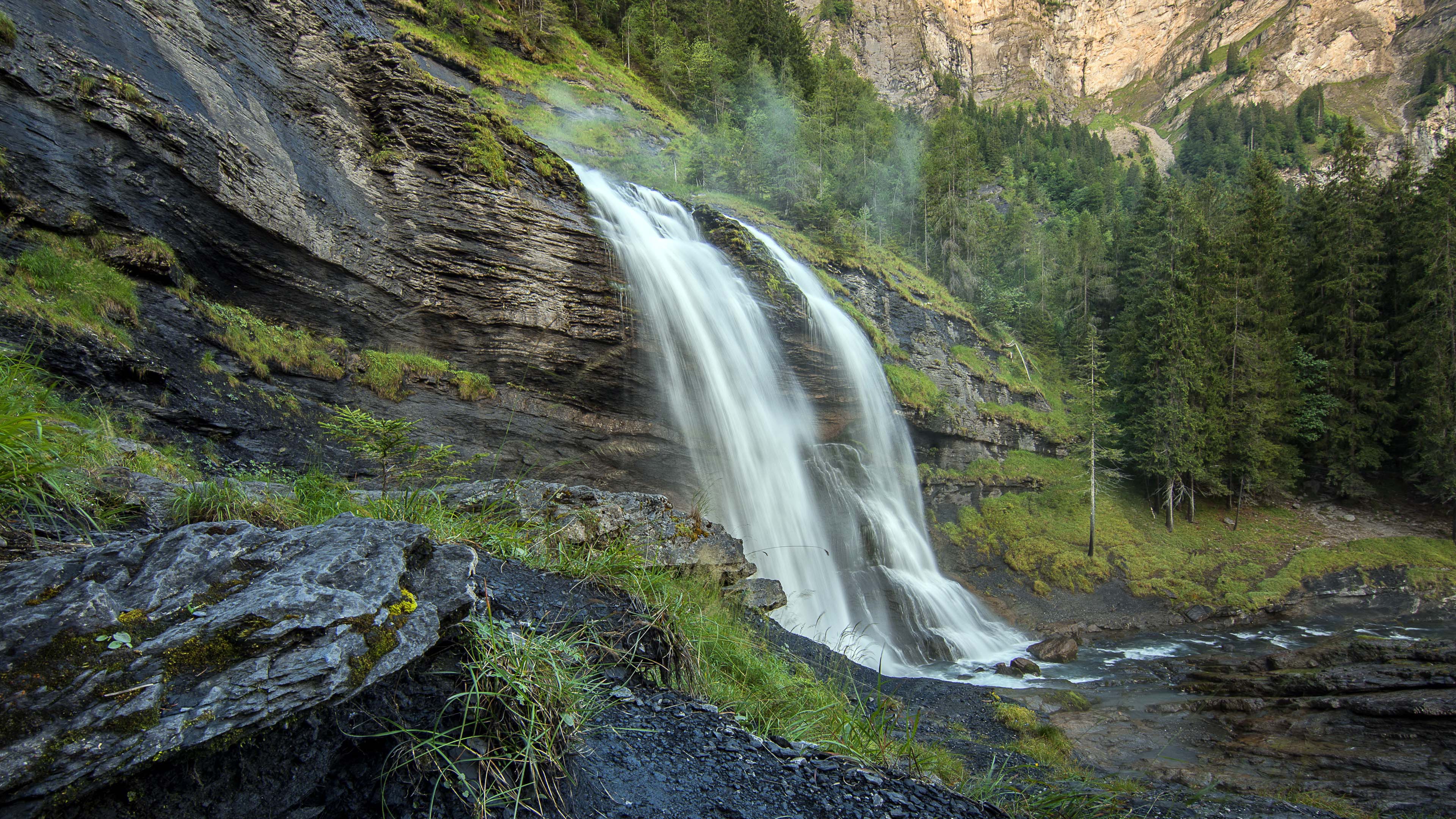自然风光,瀑布,树林