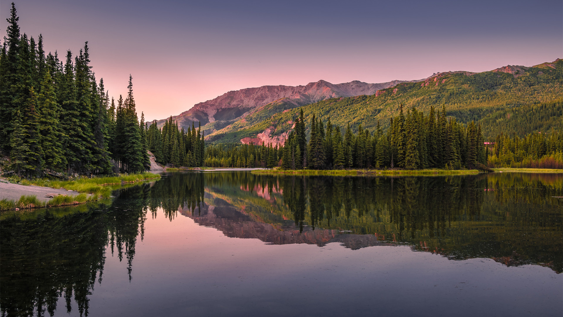 自然风光,倒影,树林,湖泊