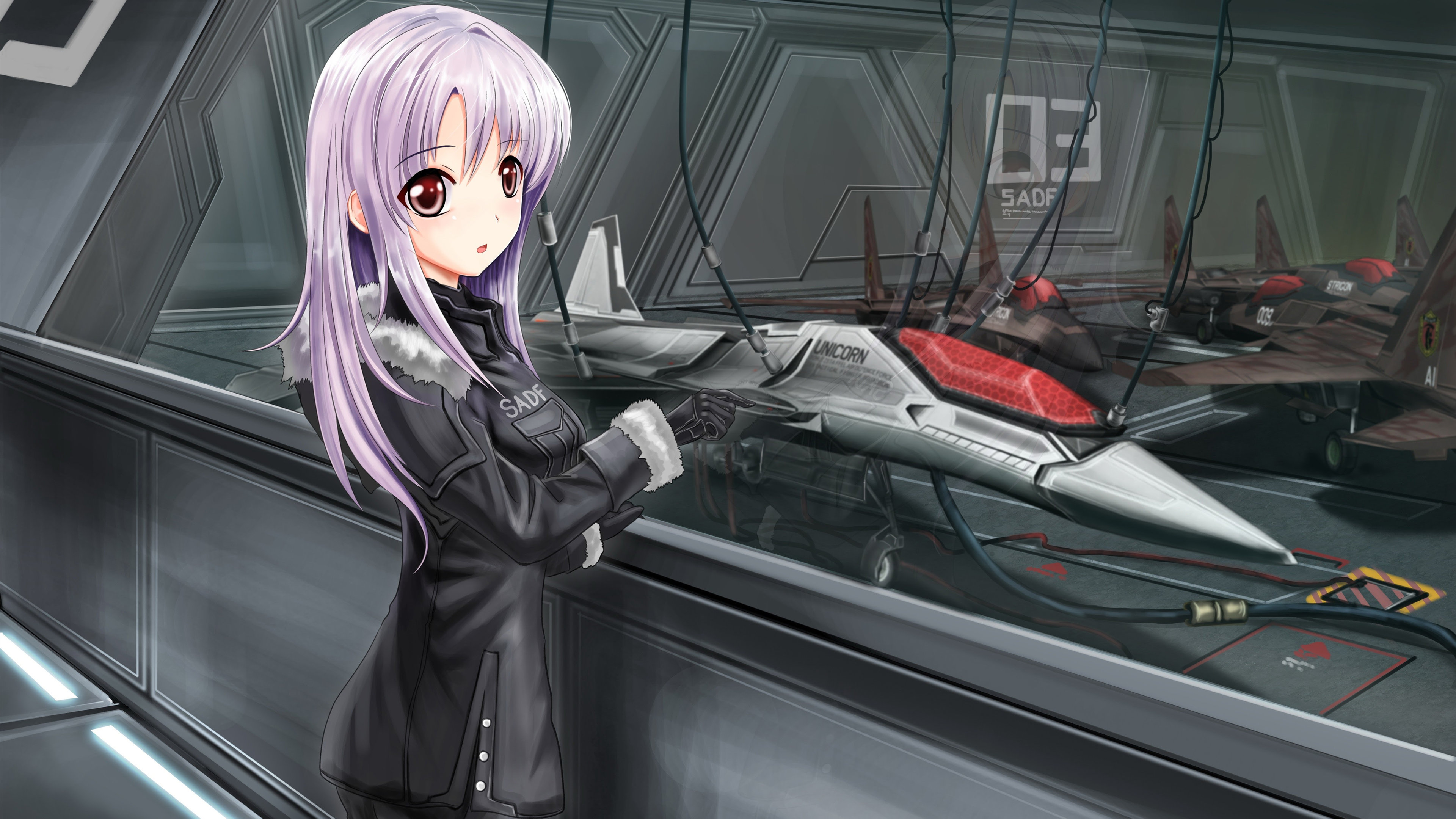 战斗机,飞行员,紫发女孩