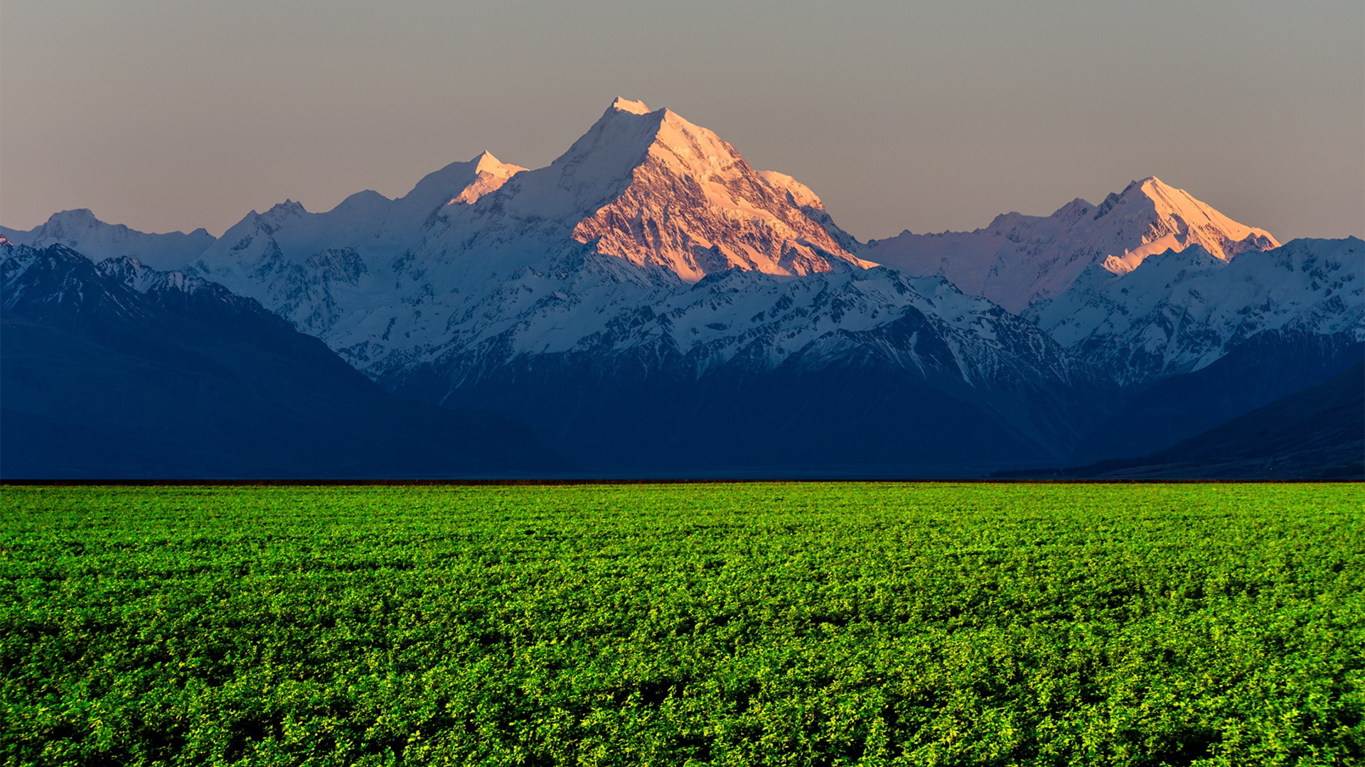 自然风光,雪山,山峰,高山
