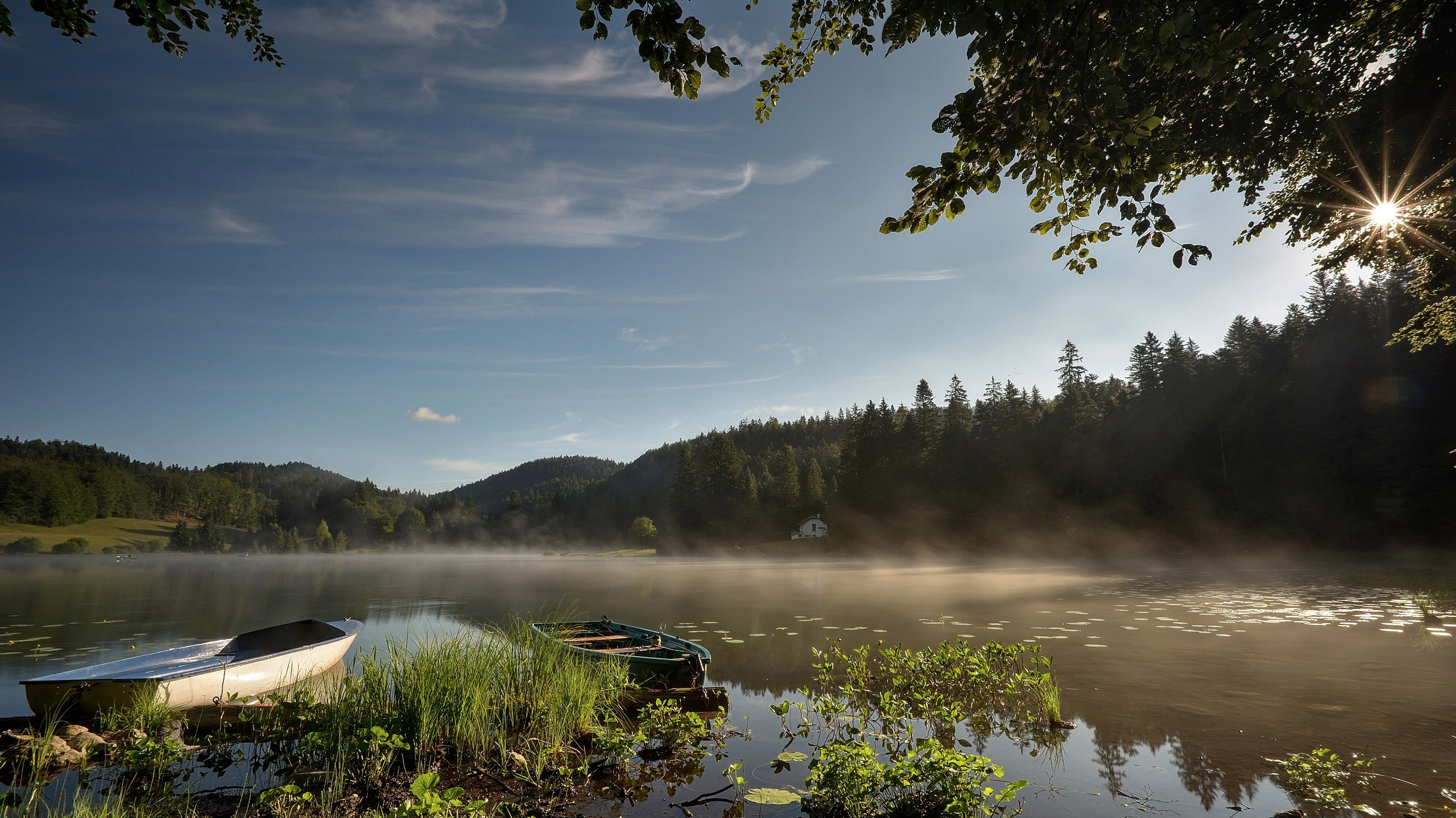 炎炎夏日,湖畔,小舟,雾