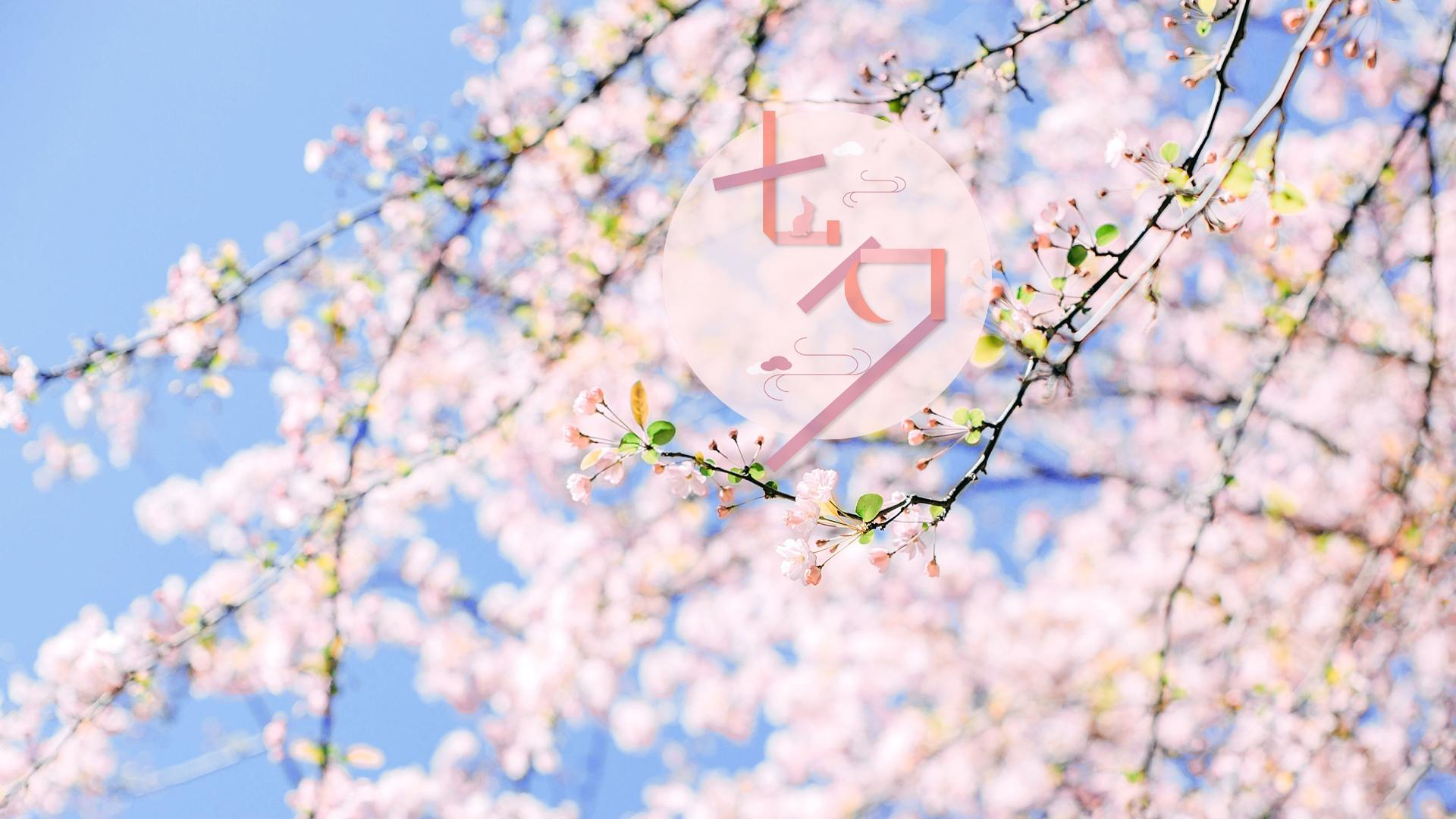 七夕,爱情,情侣,美好