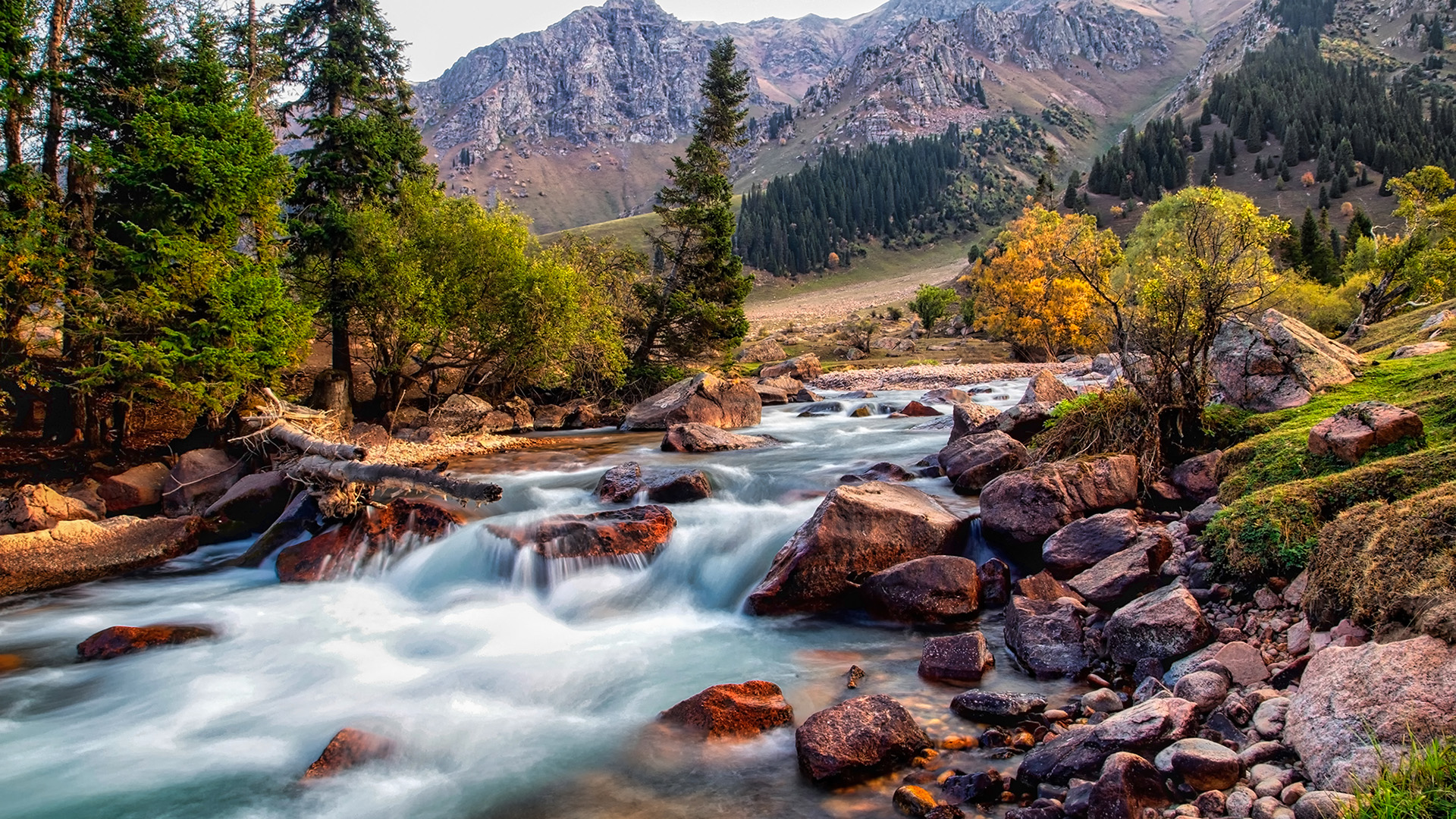 秋意正浓,小溪,河流,深秋