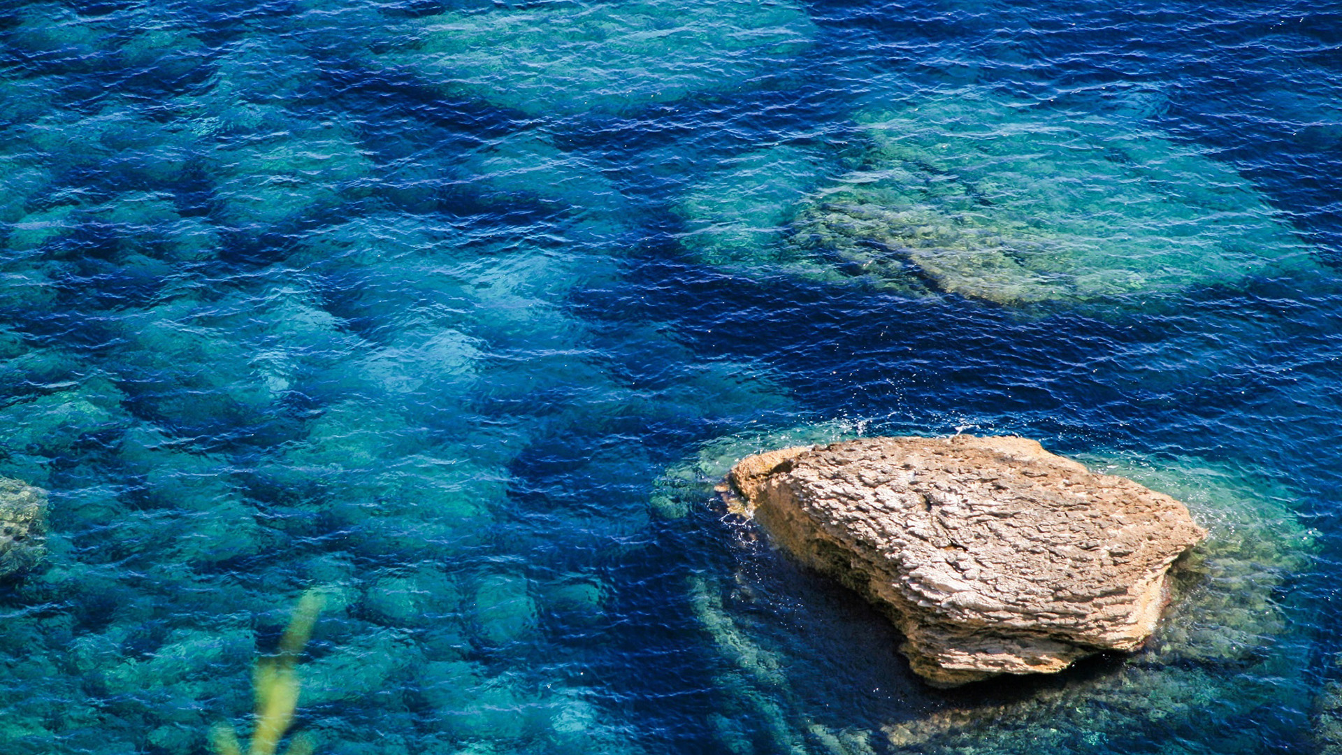 海盐天堂,碧蓝,珊瑚