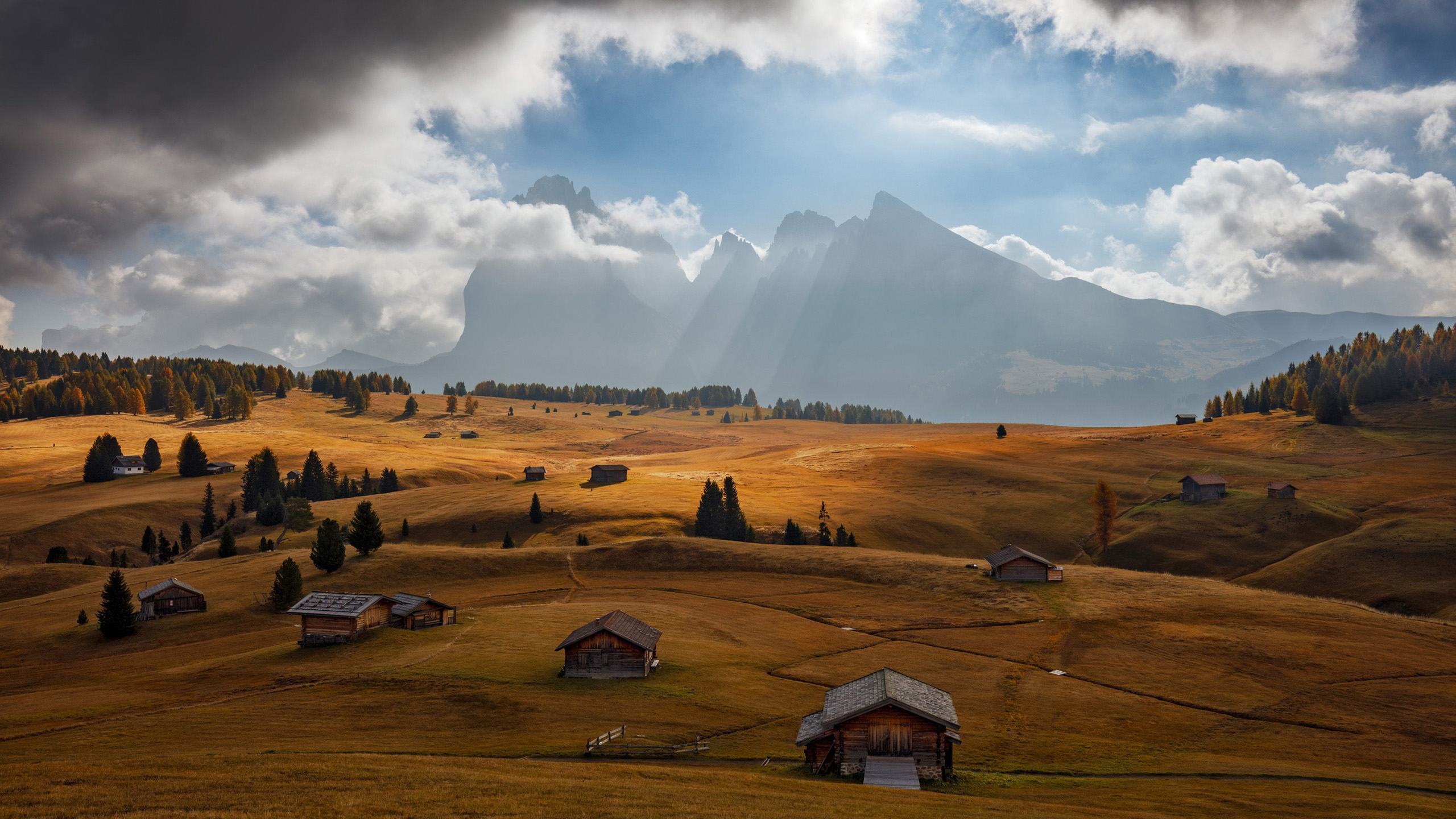 秋意正浓,原野,小木屋,阳光