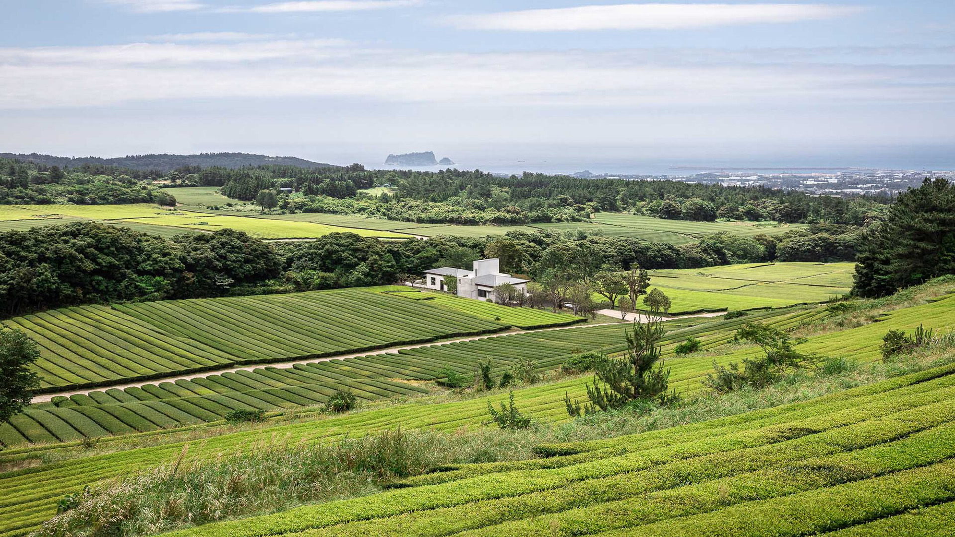 自然风光,山坡,原野