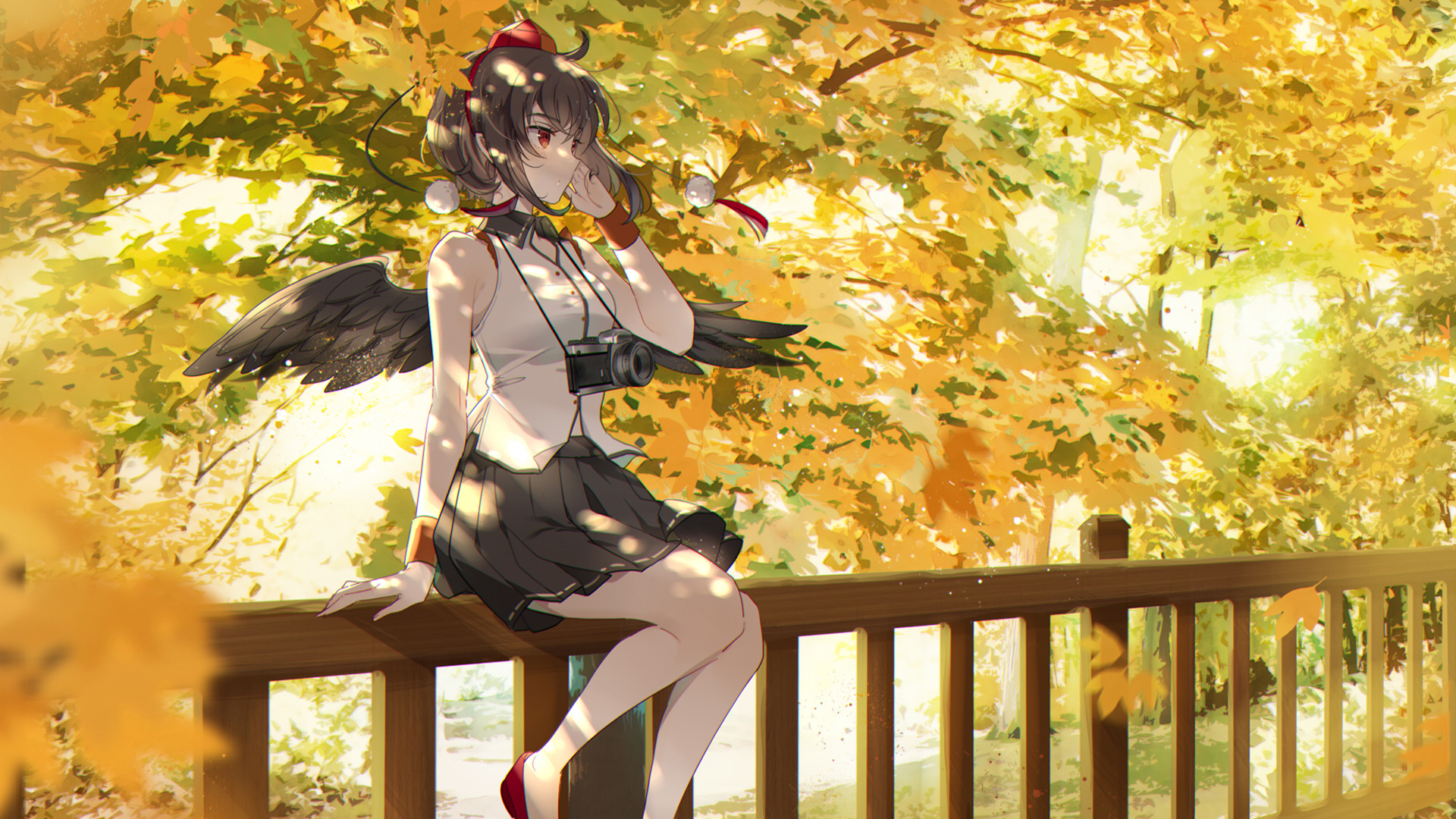 深秋,照相机,公园一角,黄叶