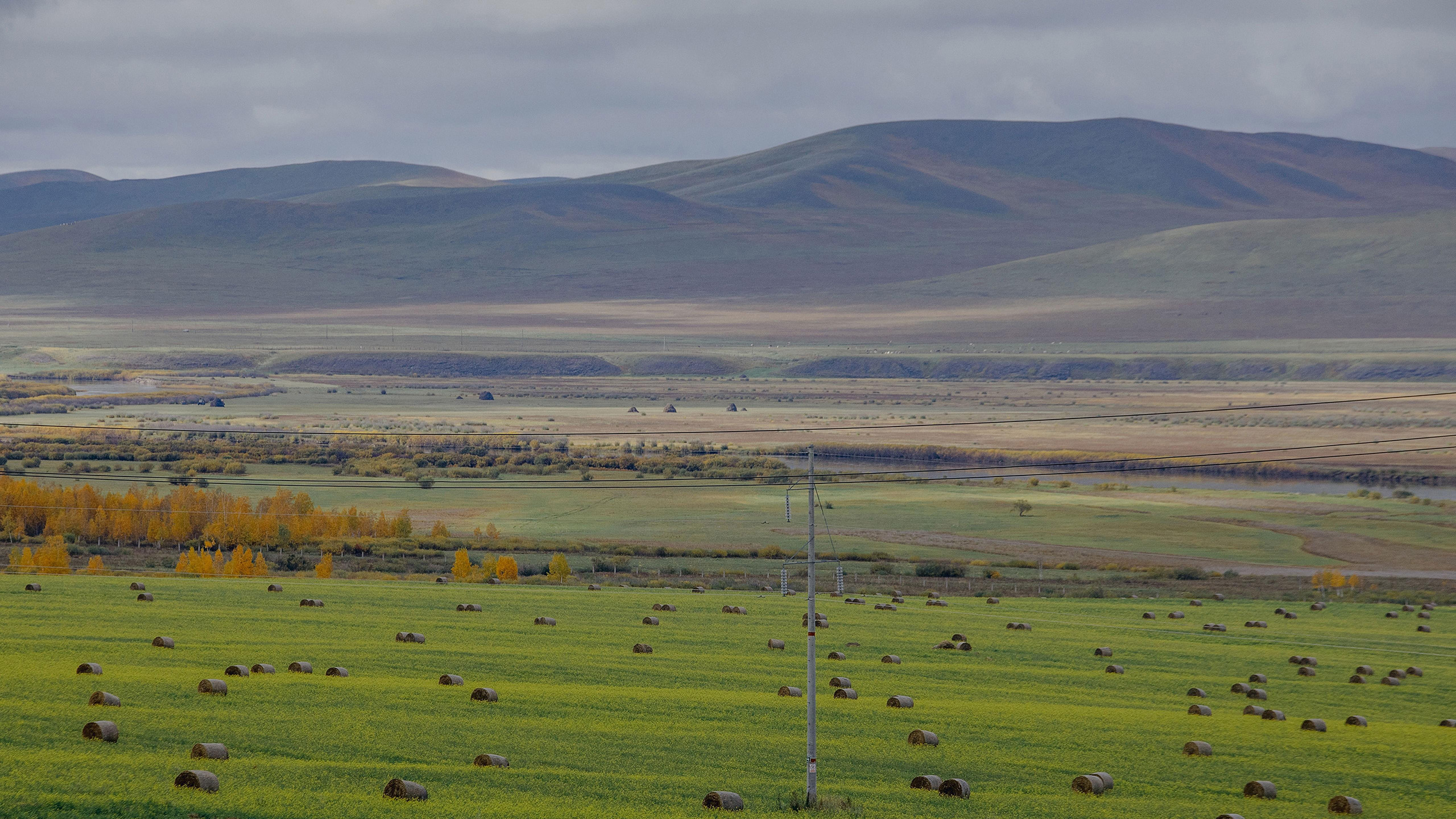 自然风光,大草原,呼伦贝尔,草堆