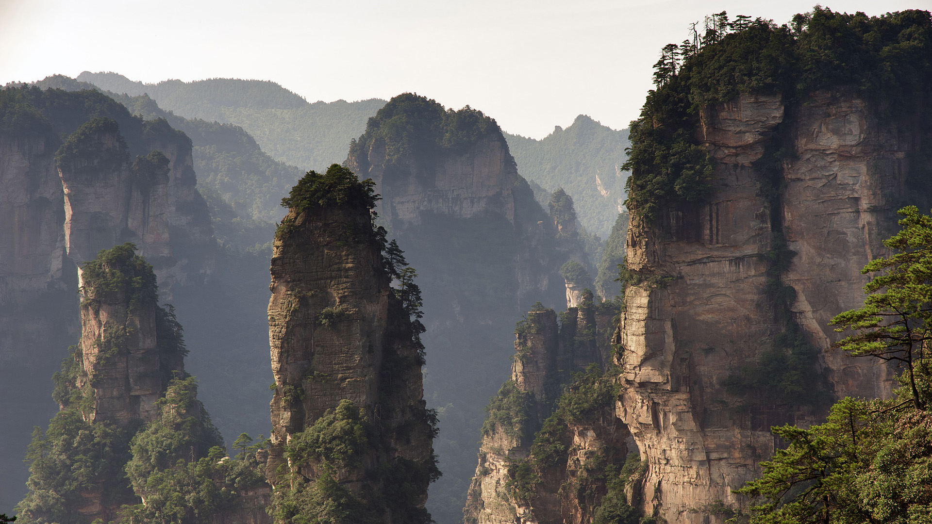 自然风光,张家界,山林