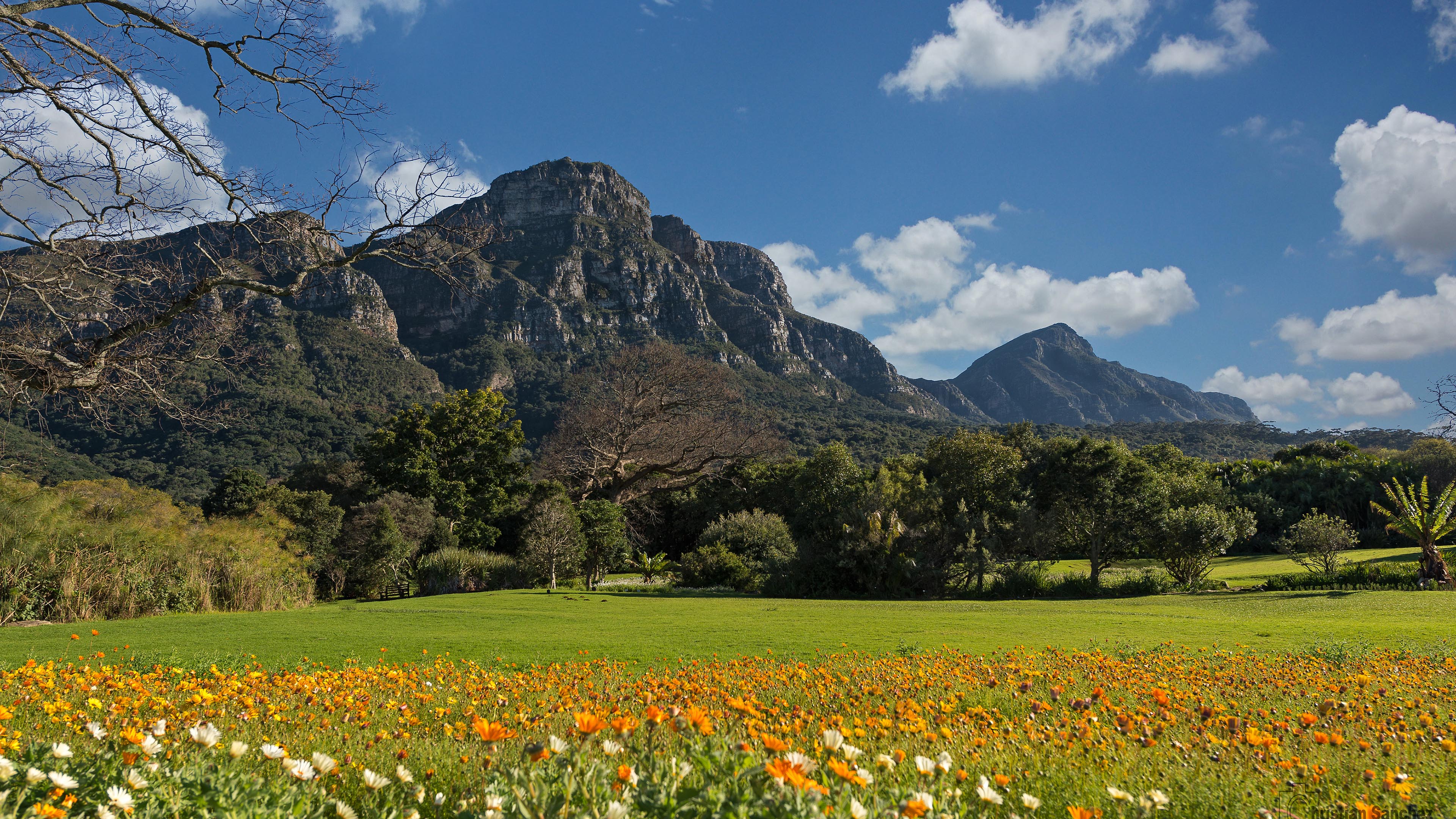 自然风光,花海,草原,美丽天空