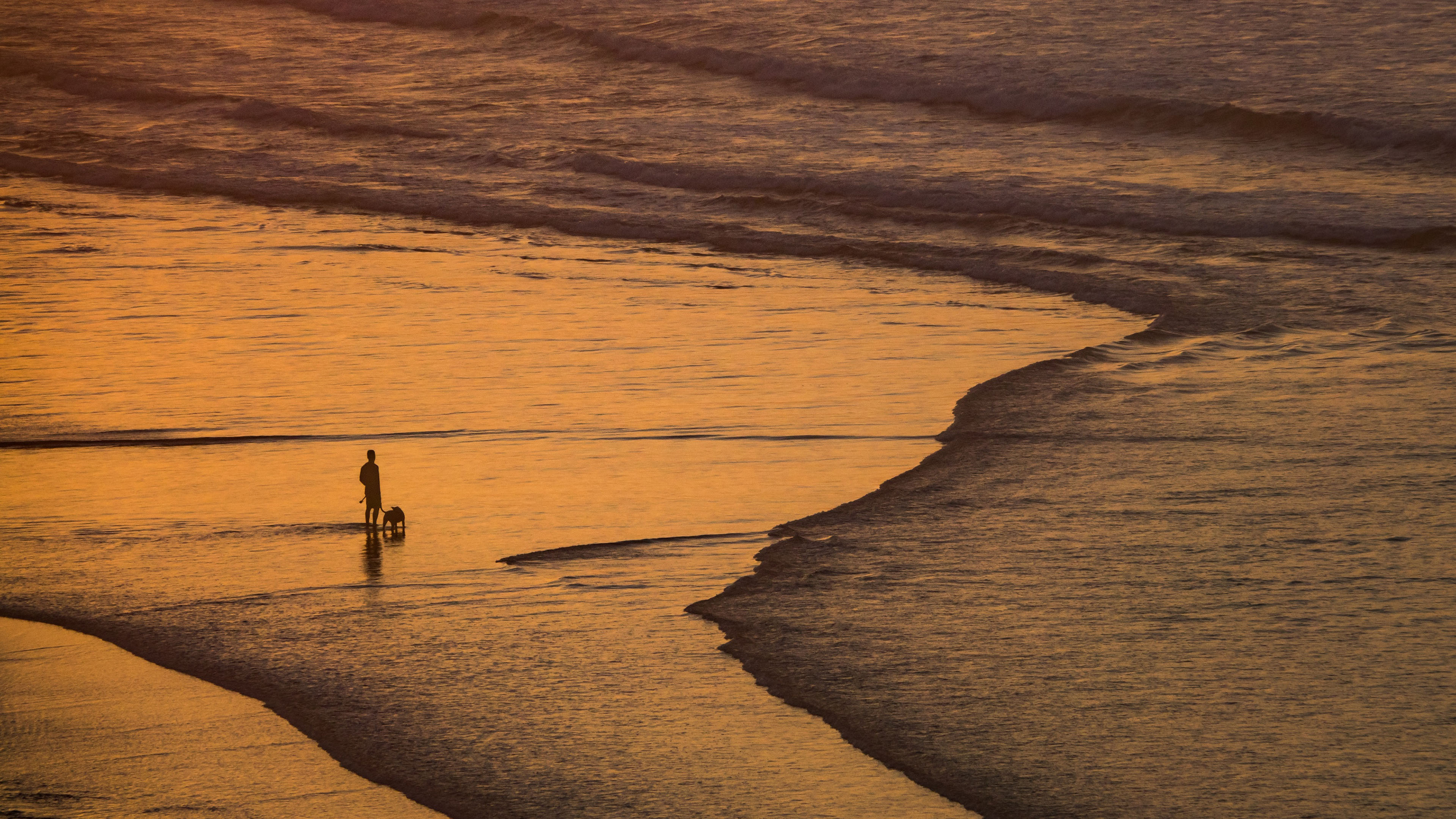 黄昏海滩,人与狗,海浪