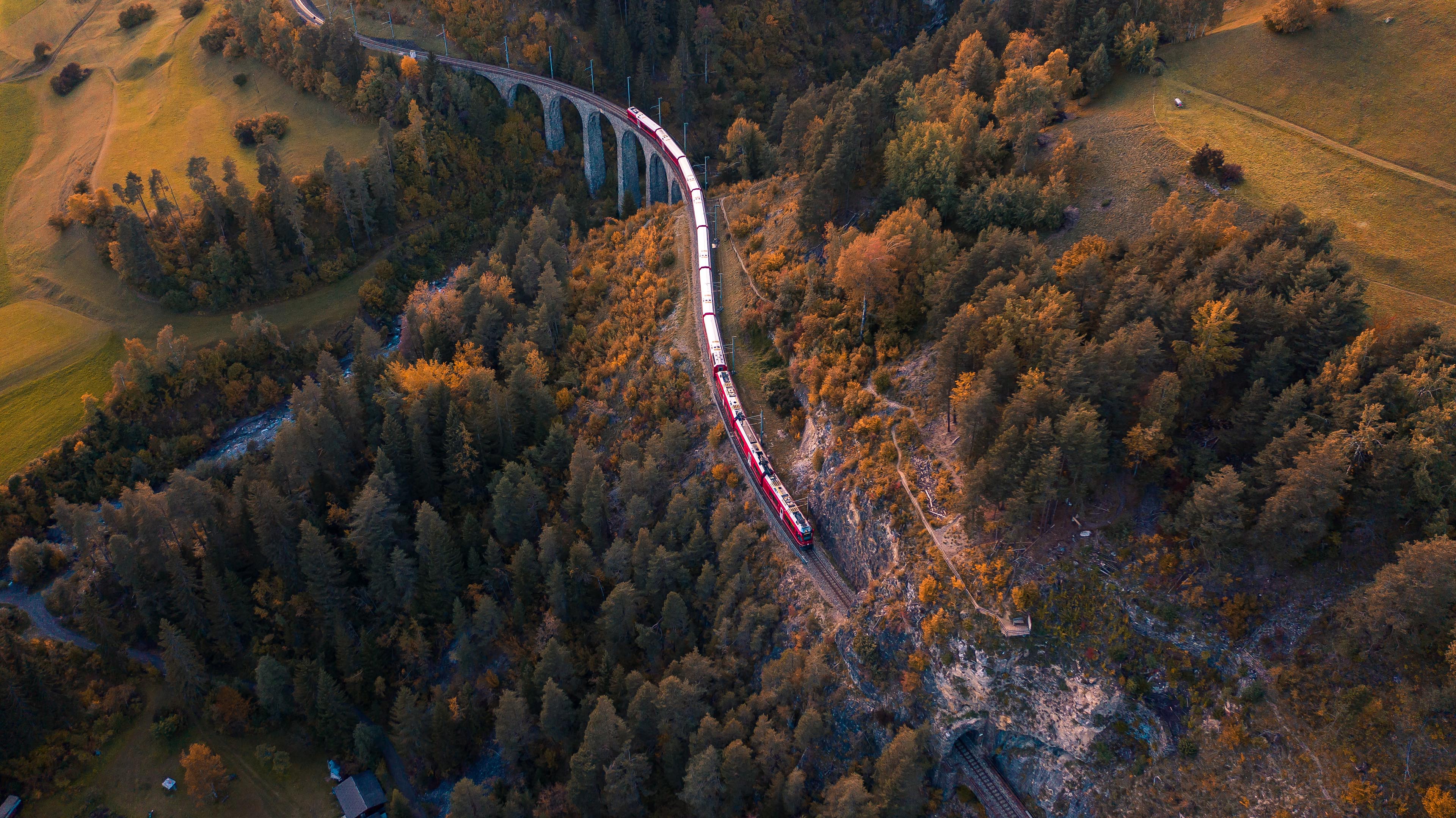 秋意正浓,火车,航拍,树林