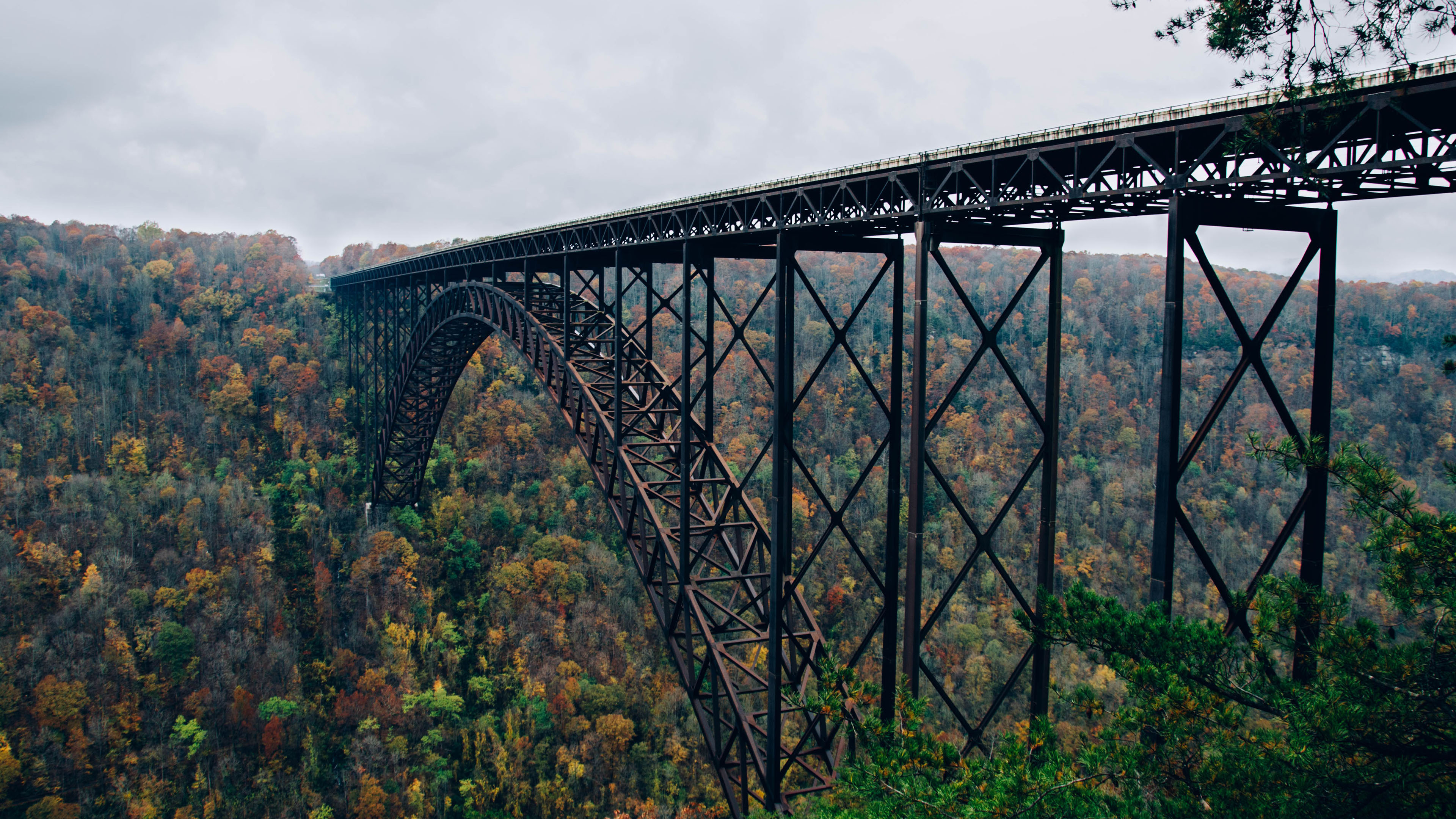 桥梁,树林,深秋