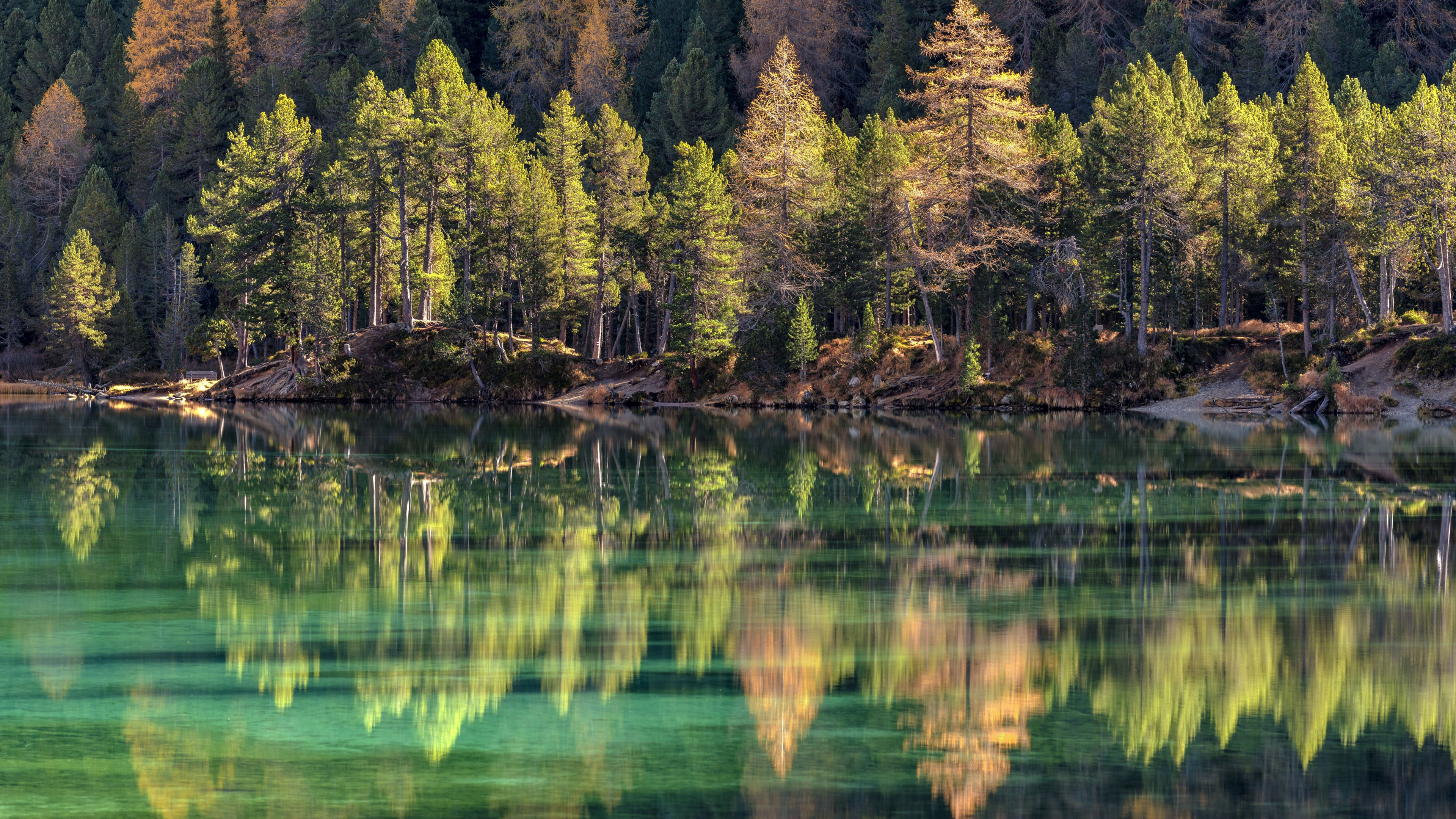 自然风光,倒影,树林,碧绿的湖水