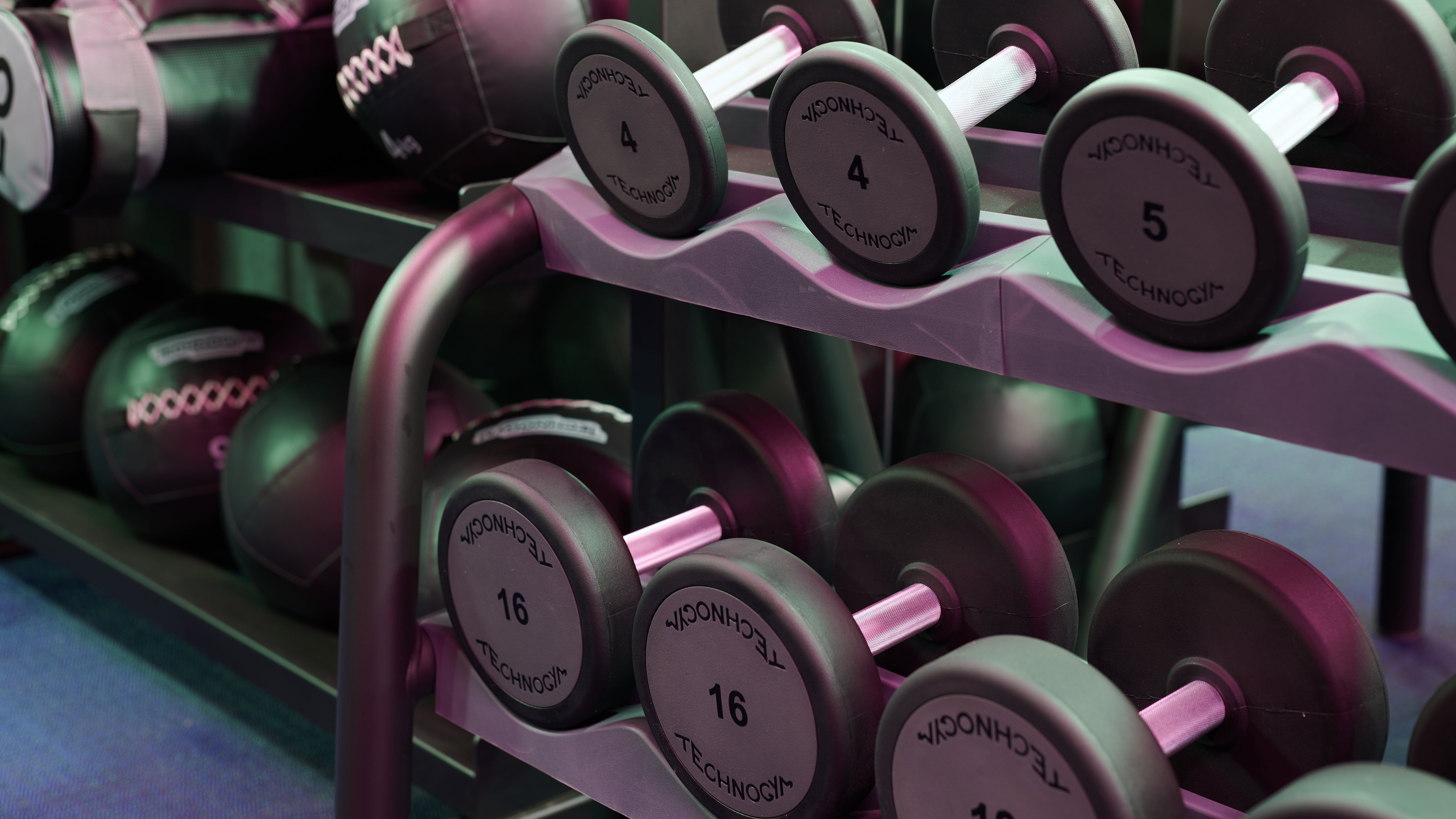 健身房,哑铃,器械