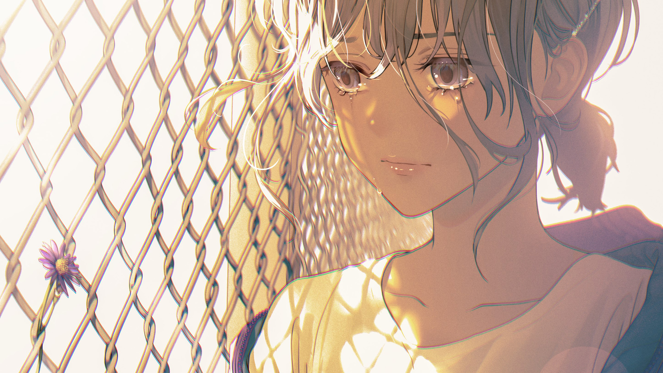 铁丝网,眼泪,午后阳光