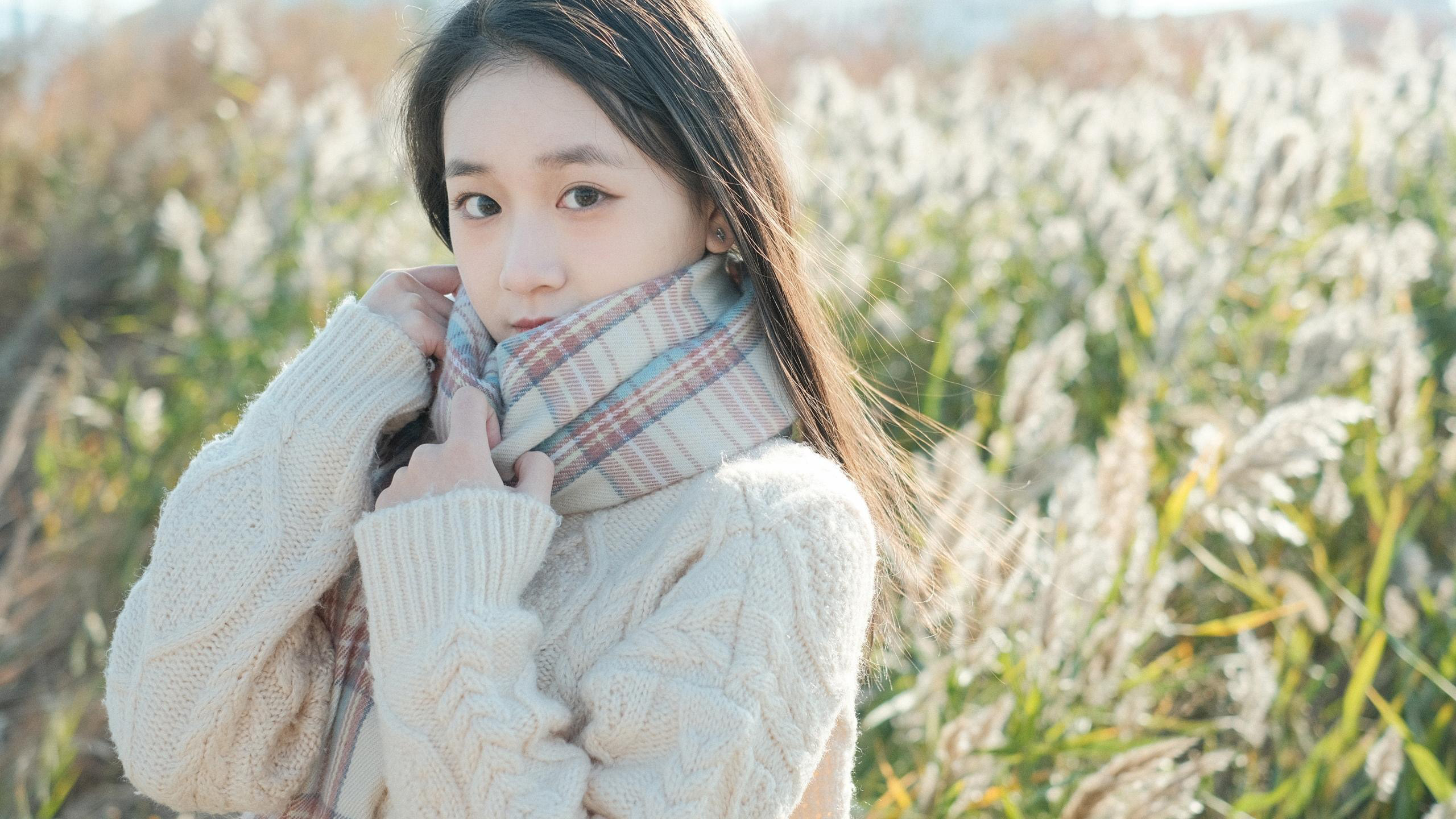 清纯,芦苇丛,围巾,毛衣,温暖