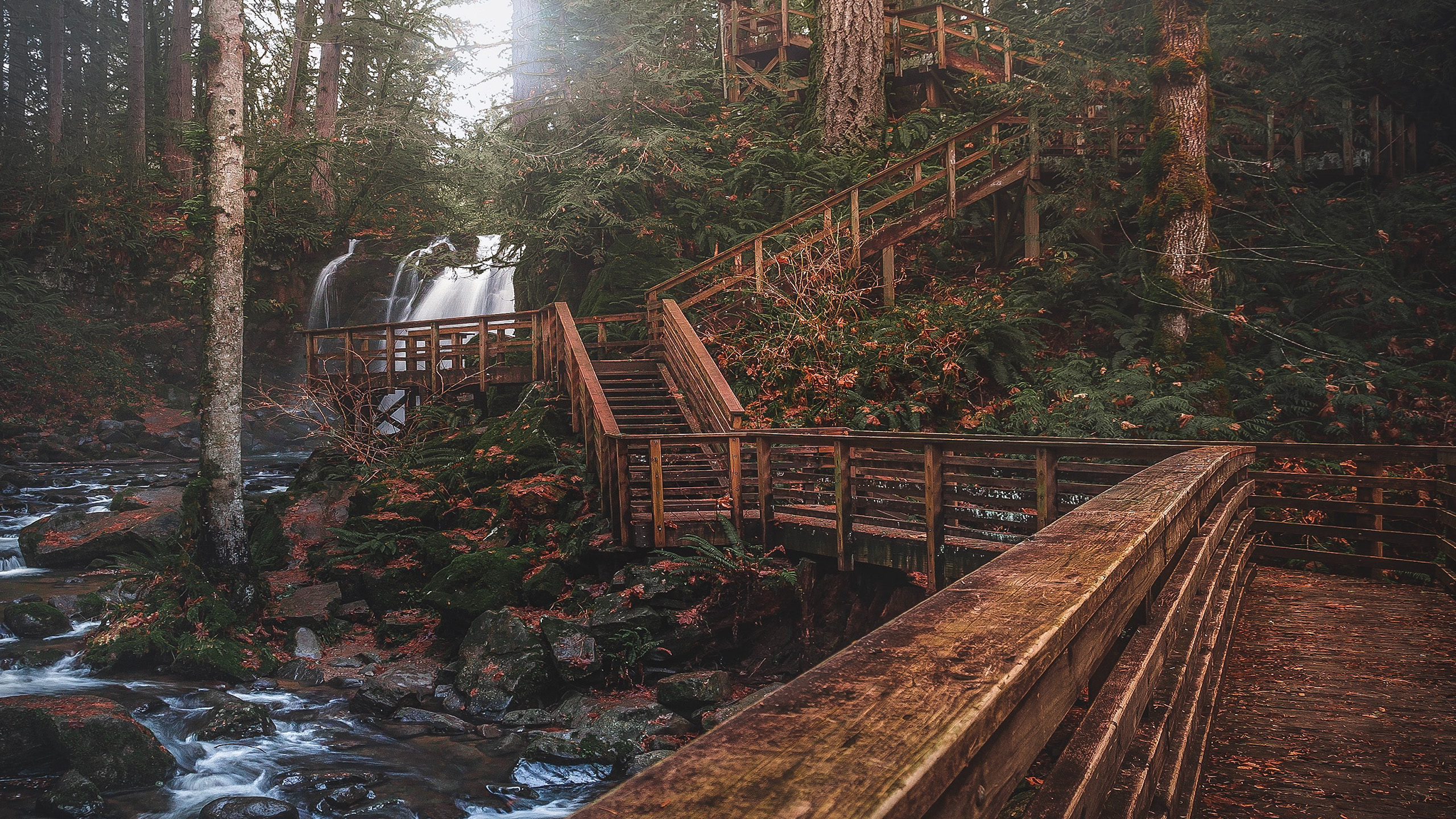 秋意正浓,亭台,瀑布,树林,溪水