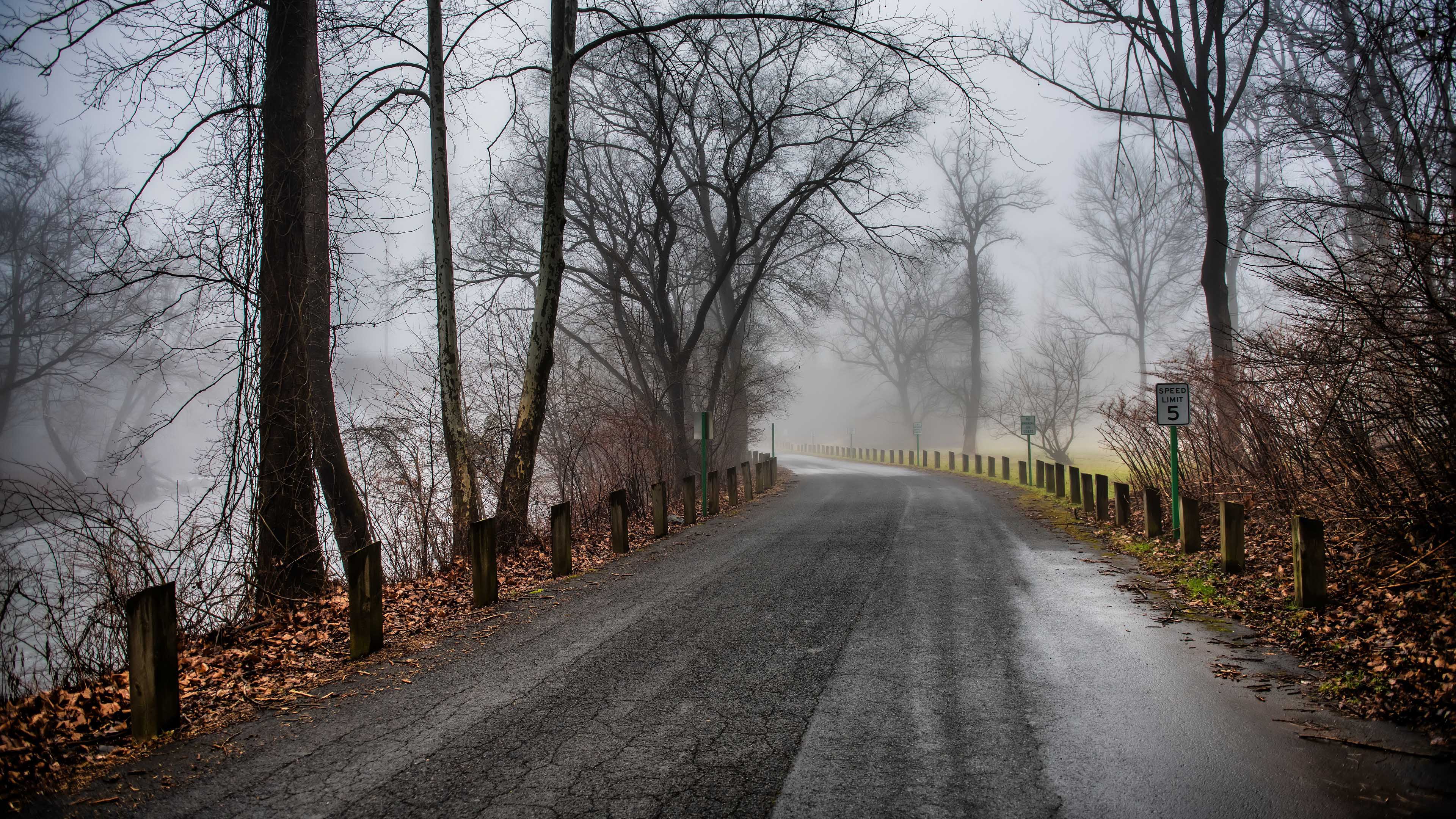 秋意正浓,深秋,清晨,落叶