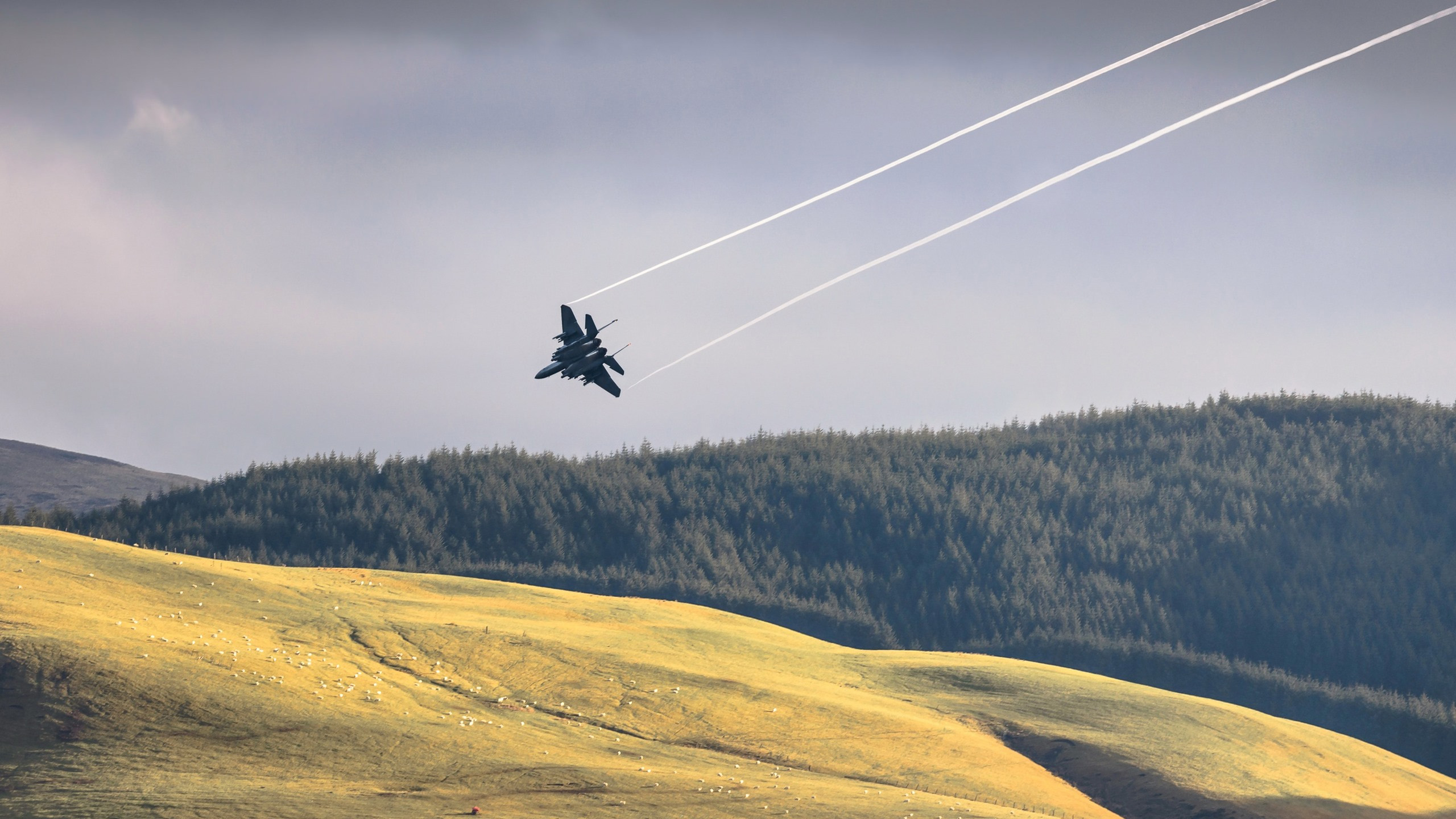 战斗机,飞行,喷气飞机