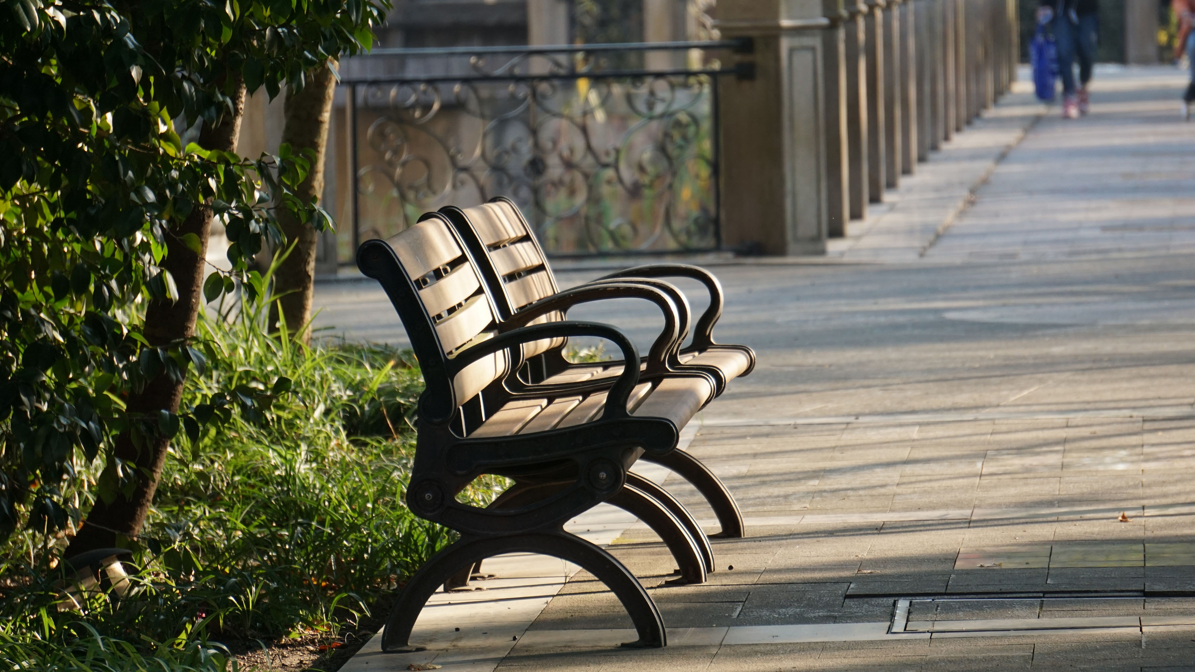 静物写真,公园,椅子,午后阳光