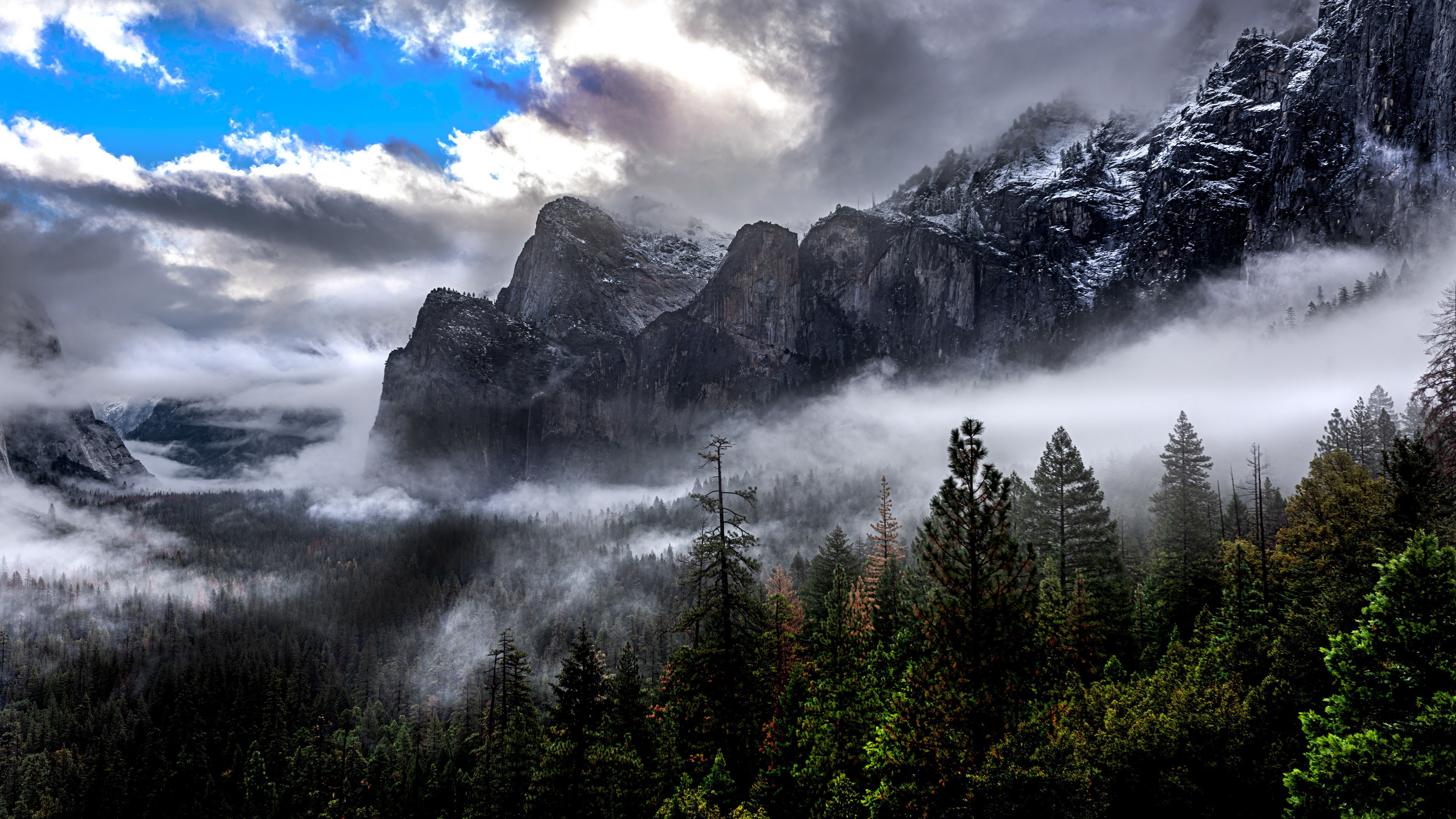 自然风光,雪山,树林,雾