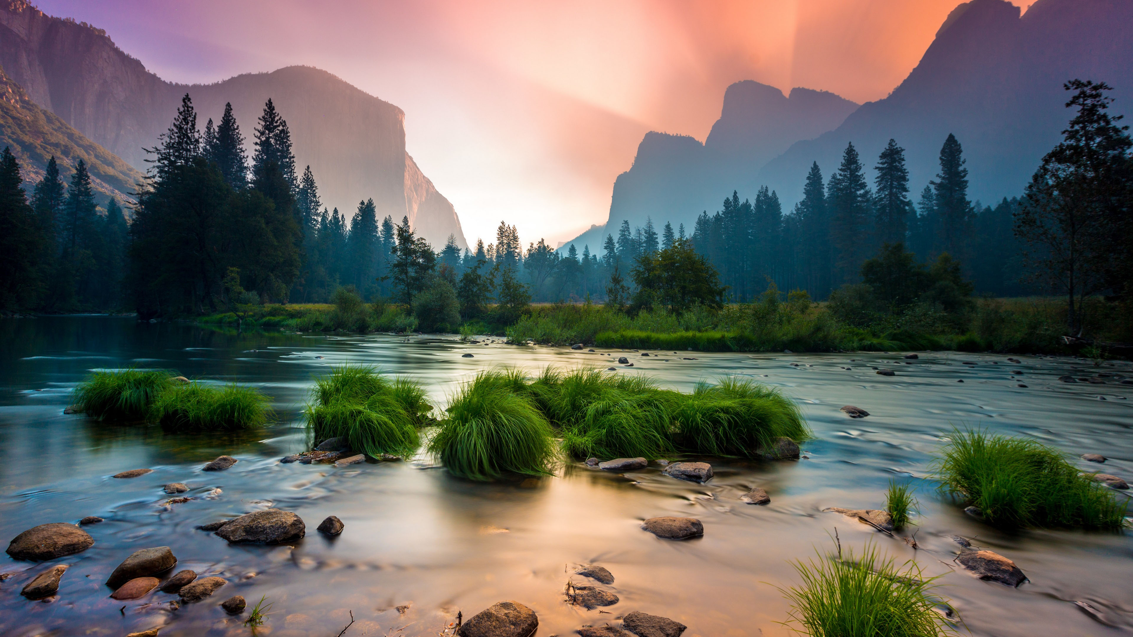 自然风光,树林,河滩,草丛