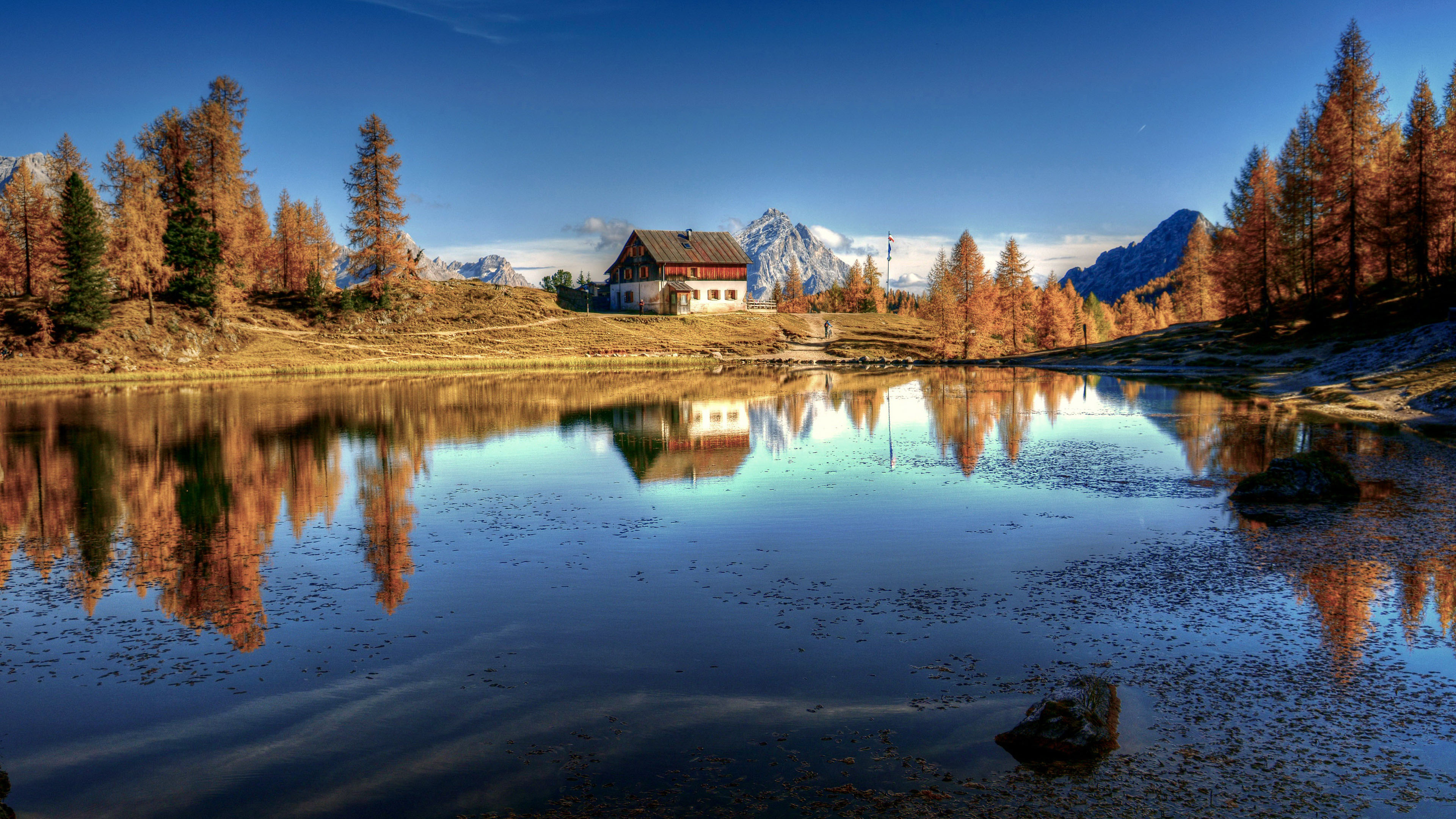 秋意正浓,倒影,小屋,枯黄