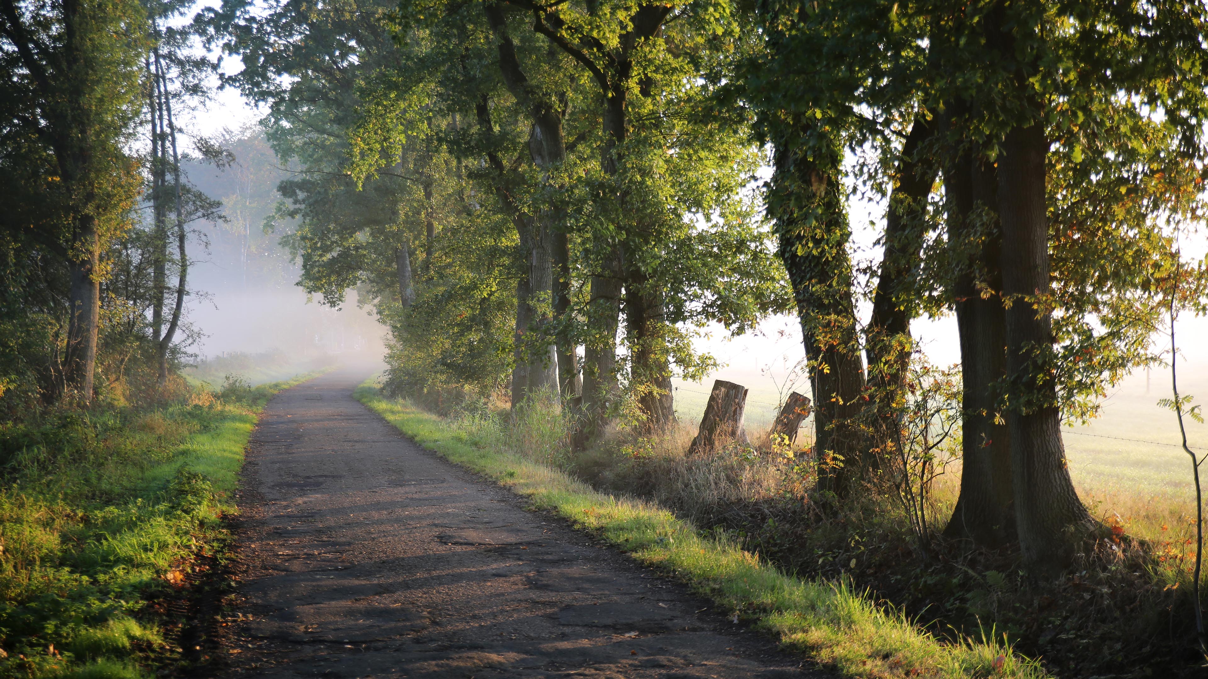 自然风光,道路,清晨,大自然