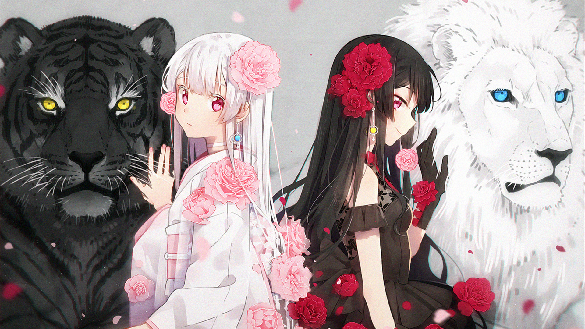 红玫瑰,白玫瑰,白狮子,黑老虎