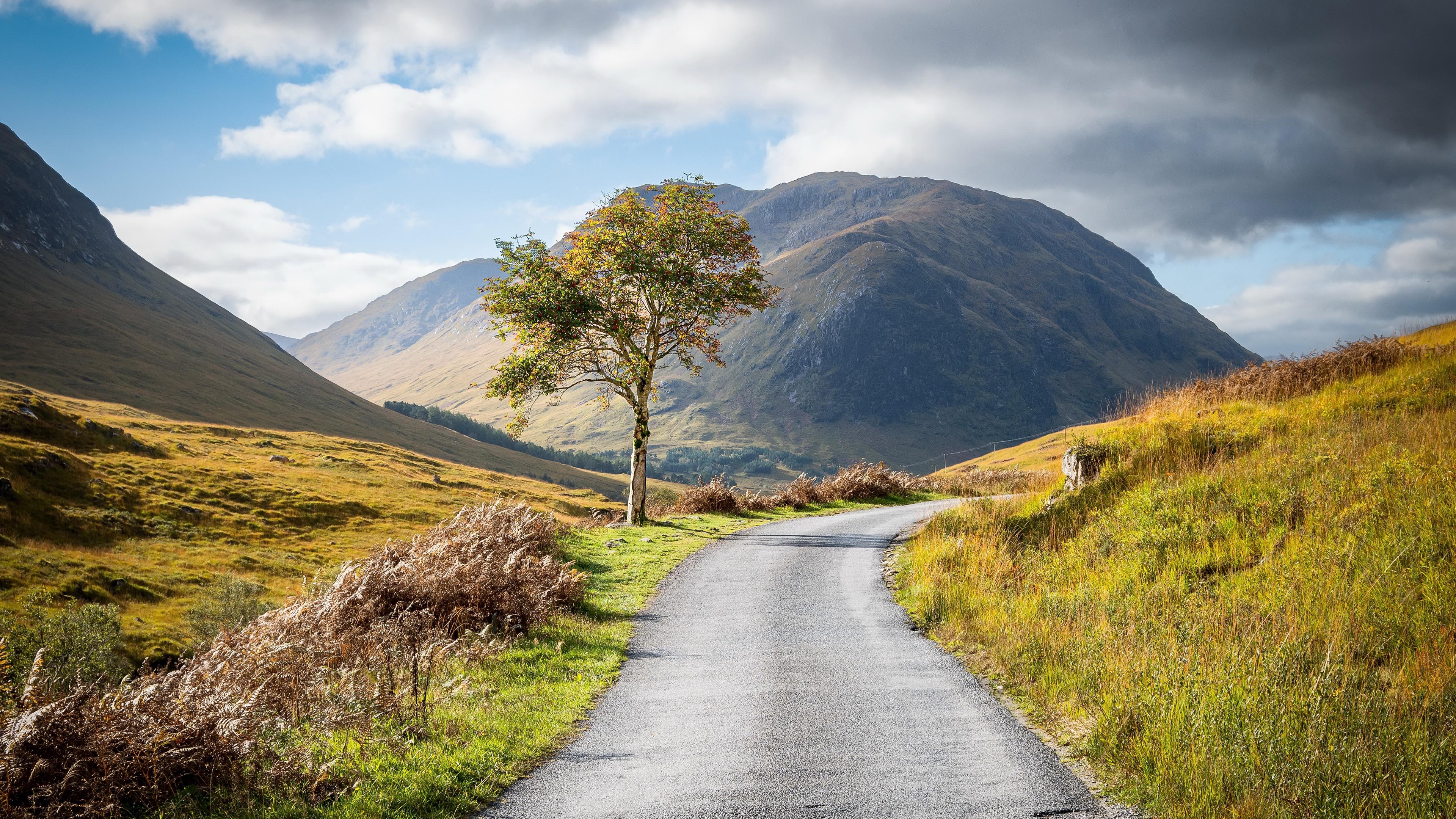 自然风光,山路,光秃秃,小树