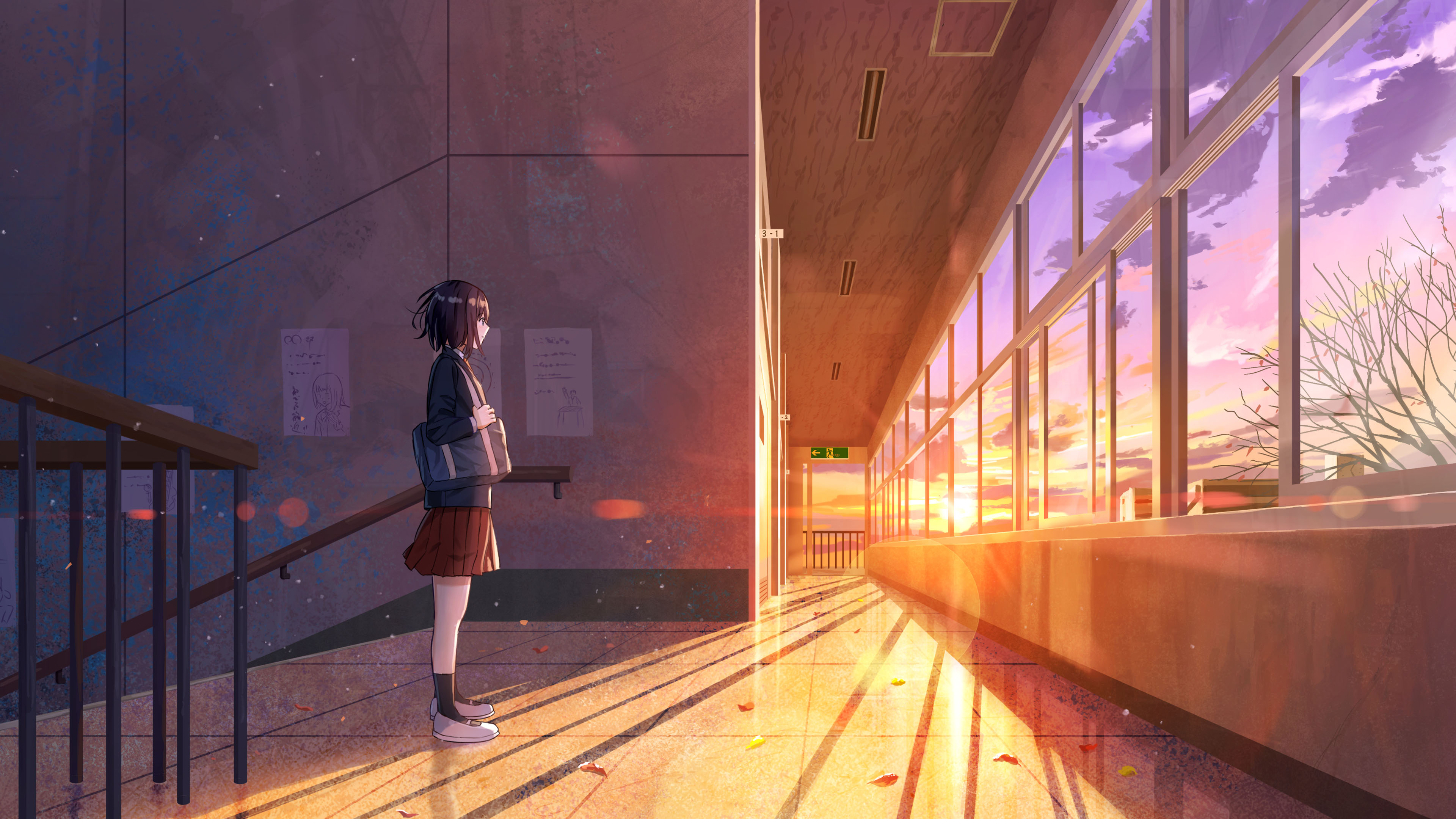 夕阳,教室走廊,橱窗,学姐,放学后