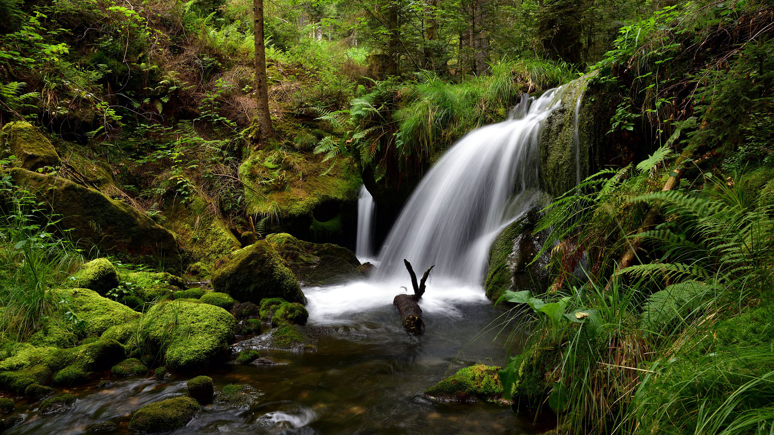自然风光,瀑布,青山绿水,森林