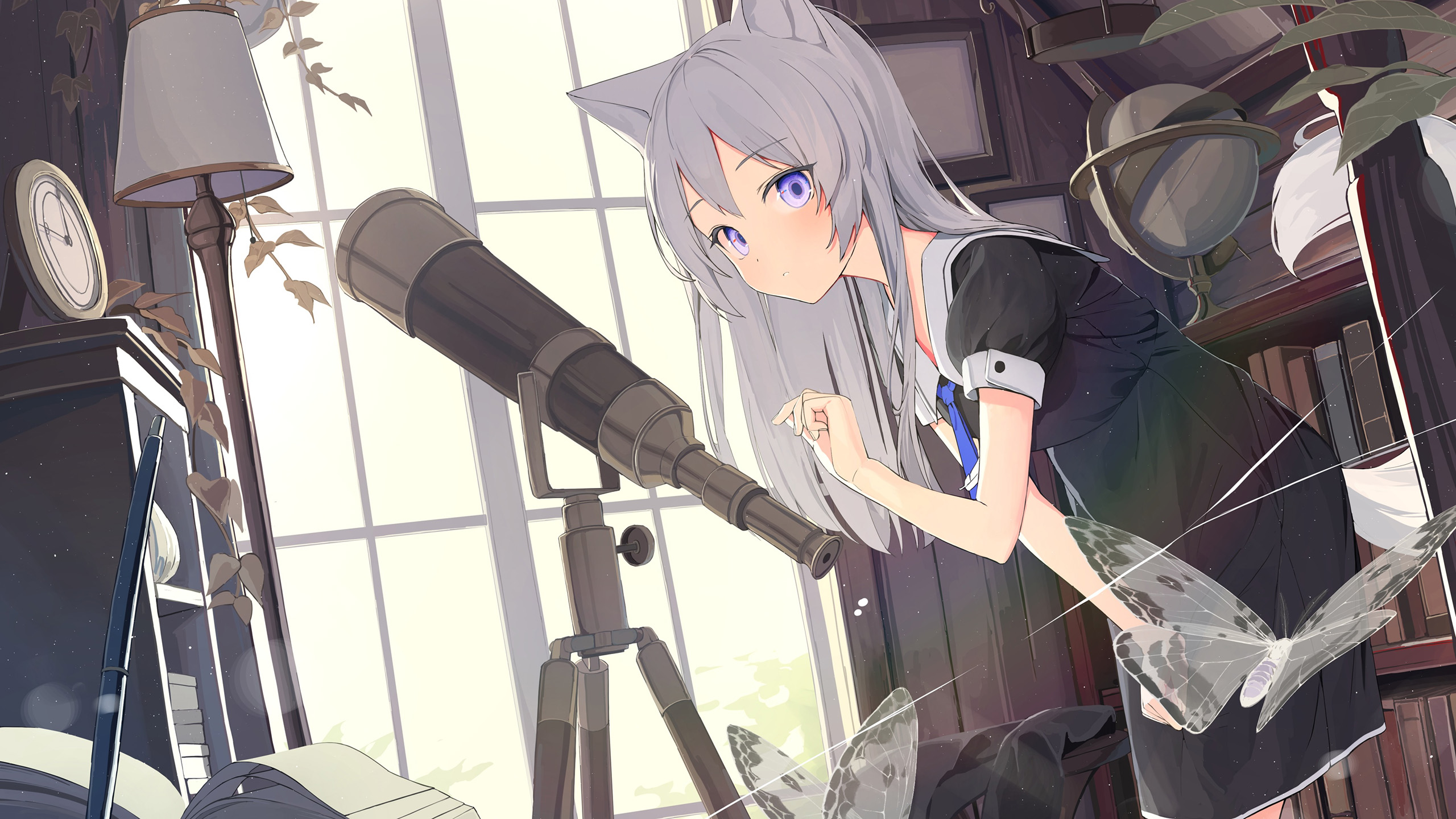 望远镜,兽耳,蝴蝶