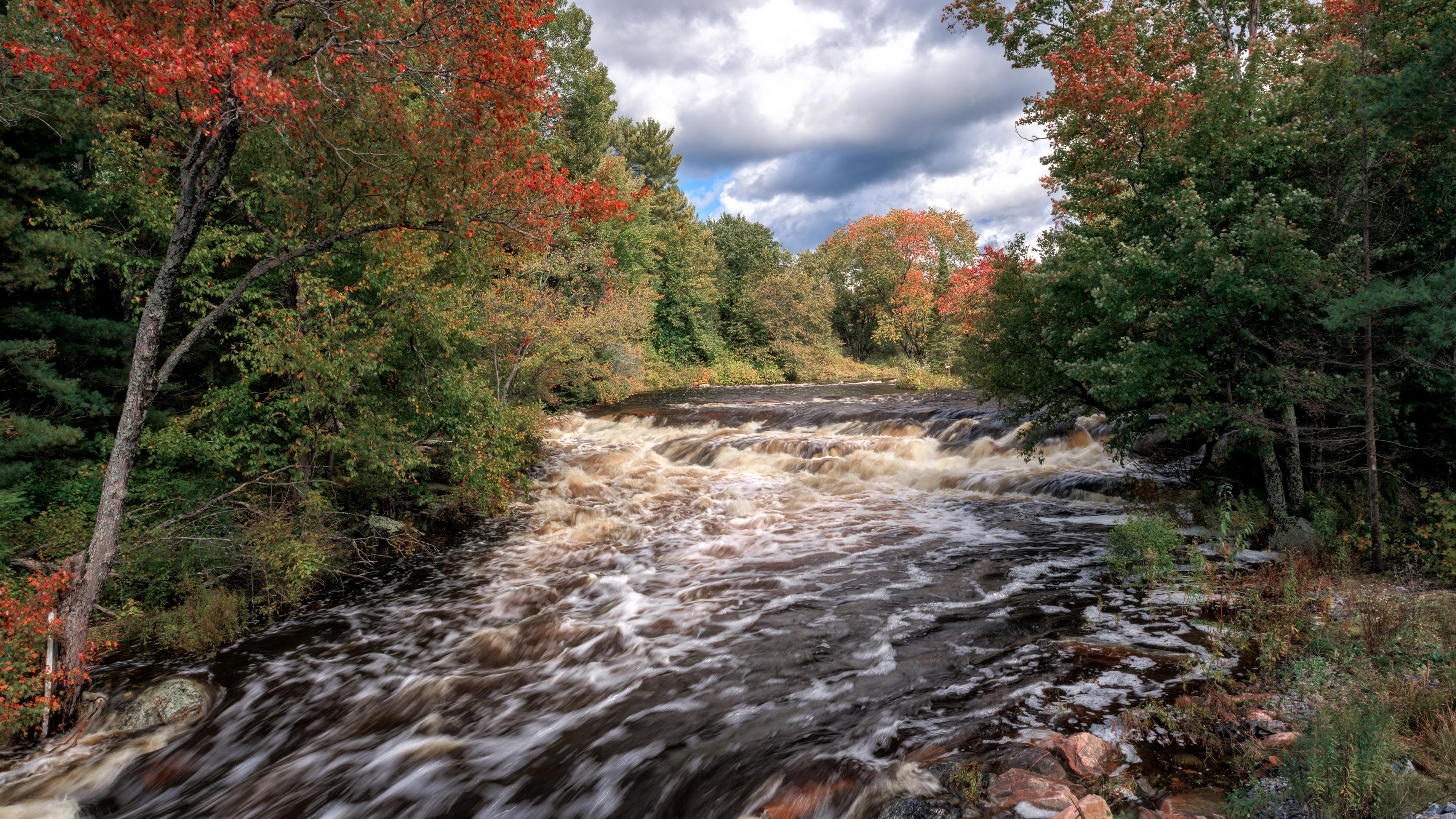 秋意正浓,河流,树林,波涛
