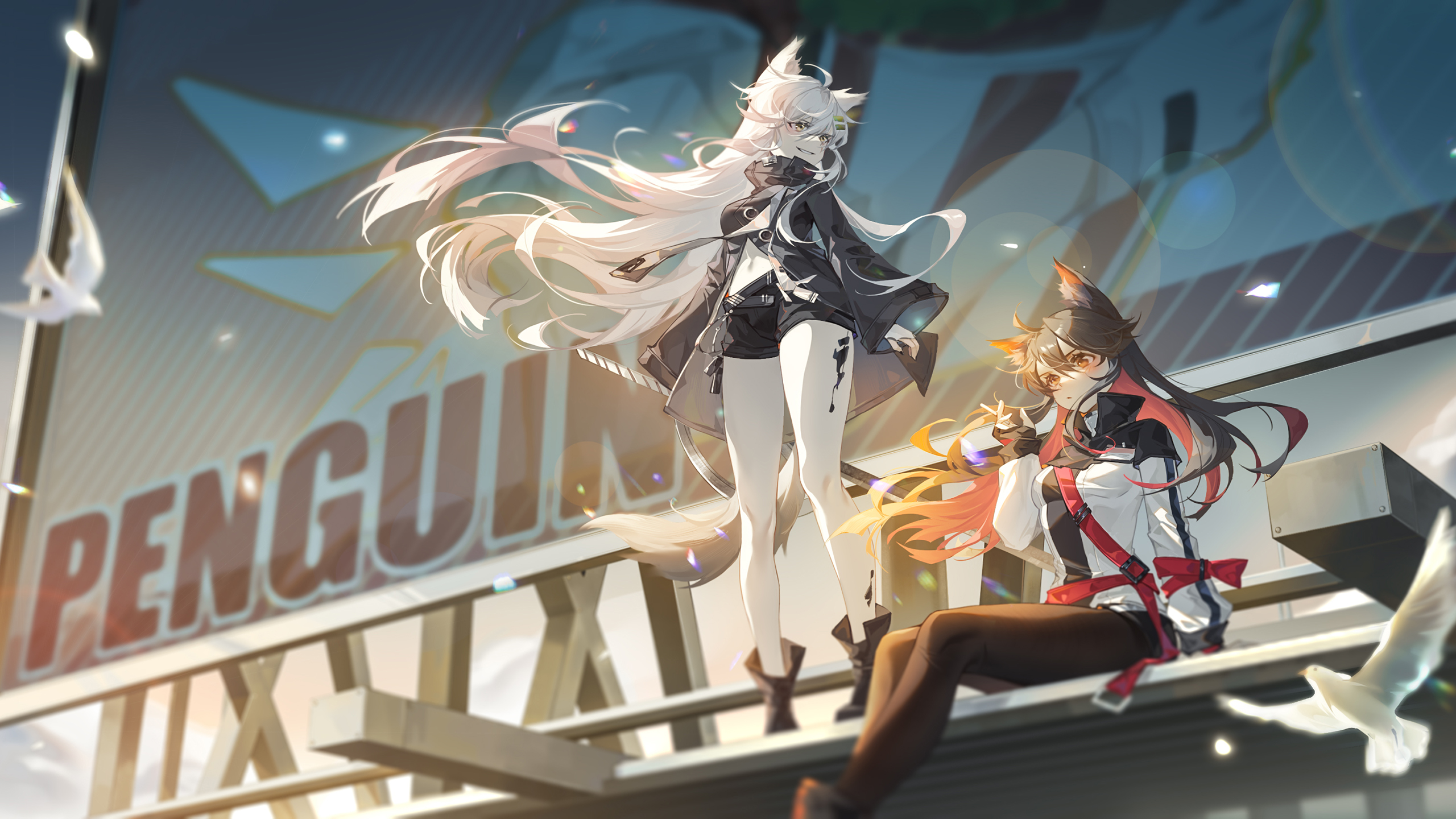 白鸽,长发飘飘,兽耳