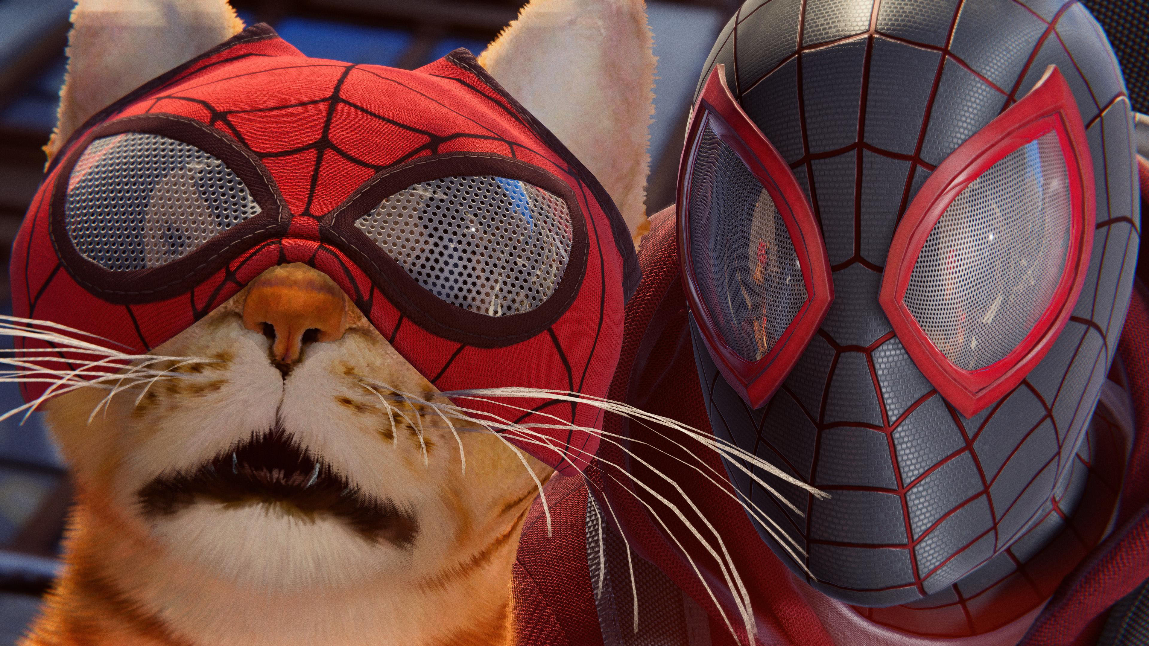 主机游戏,蜘蛛侠,猫咪