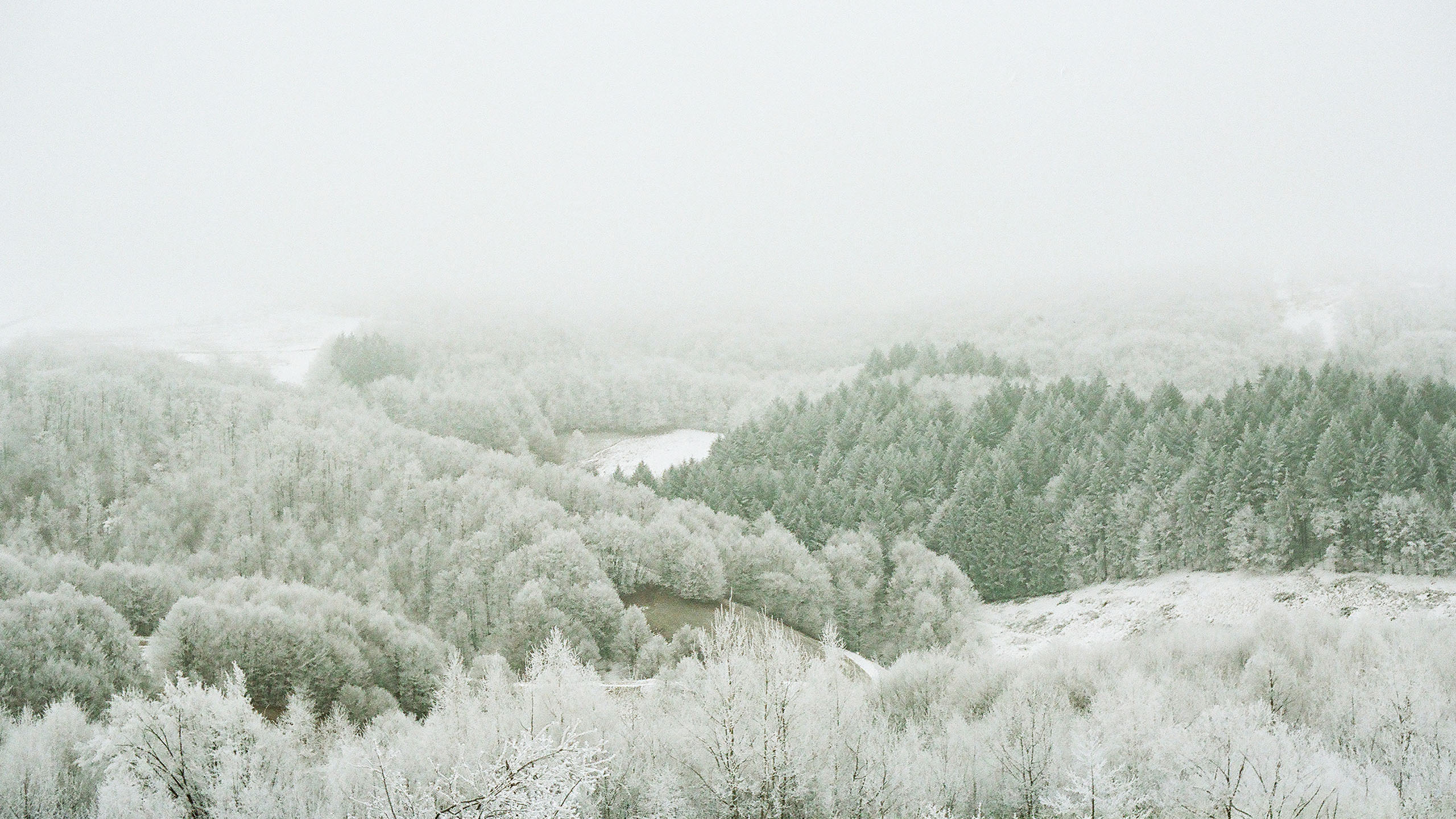 冰天雪地,银装素裹,白雪皑皑