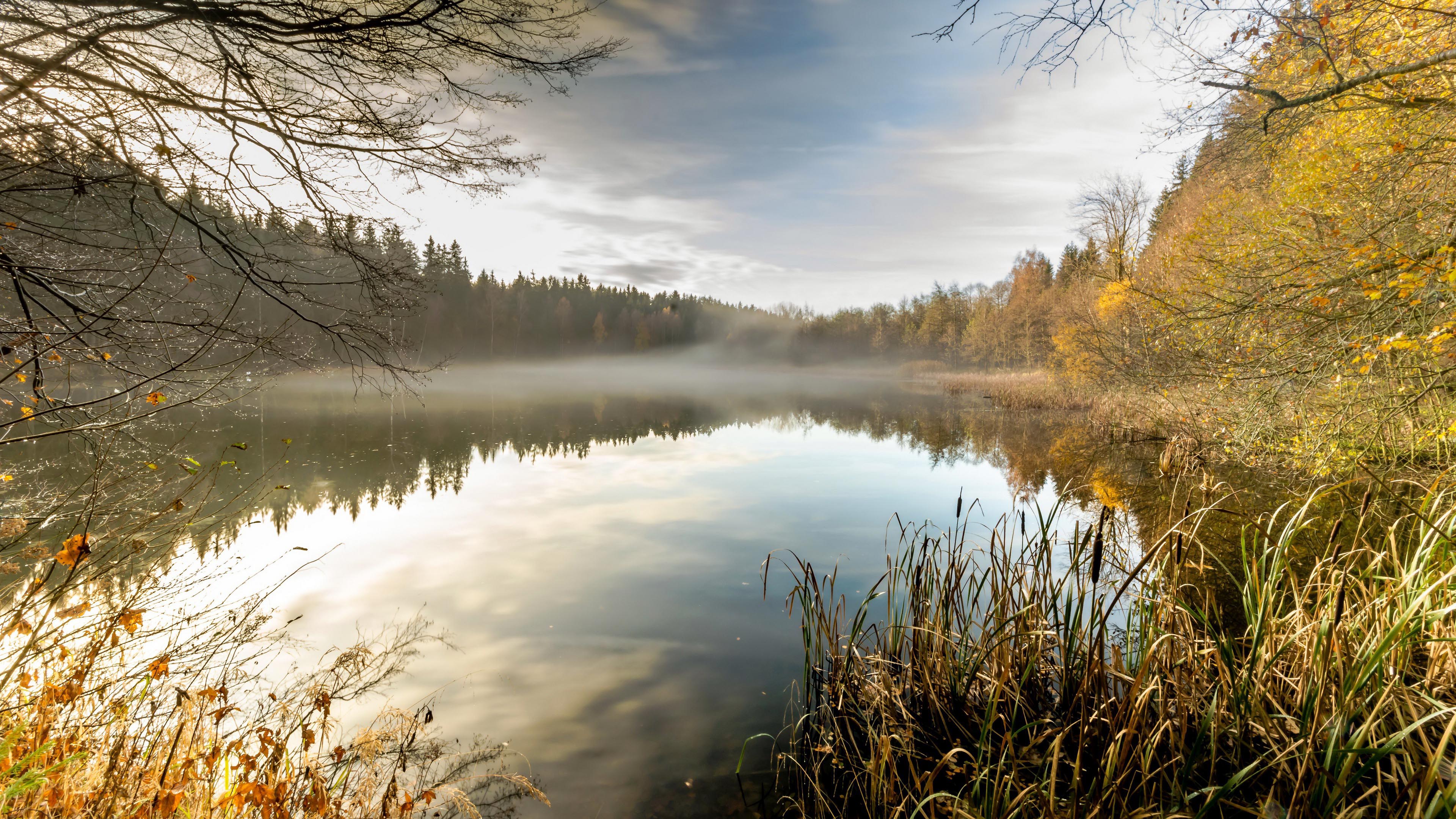秋意正浓,湖,倒影,黄叶