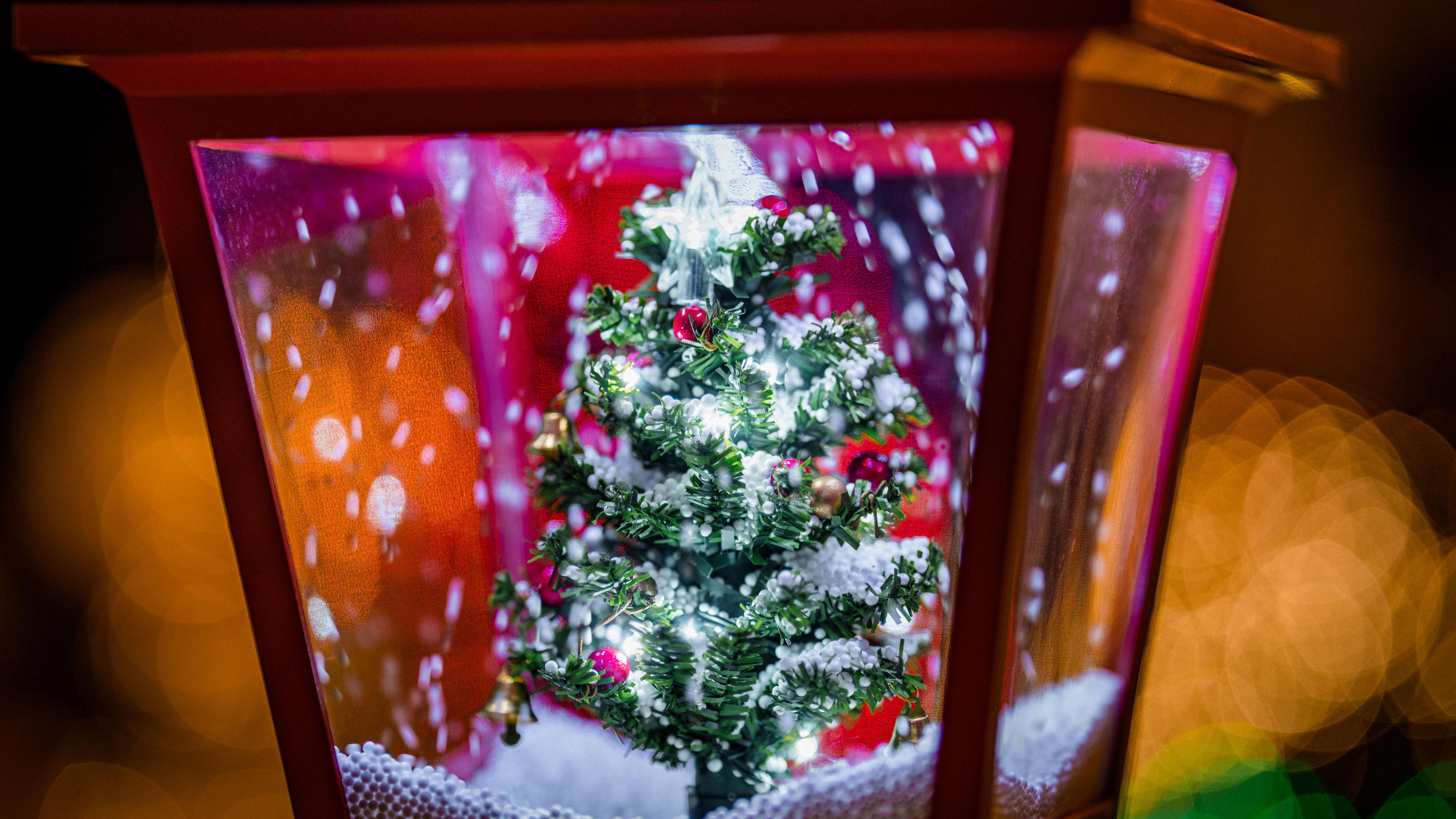 圣诞节,圣诞树,橱窗,温馨