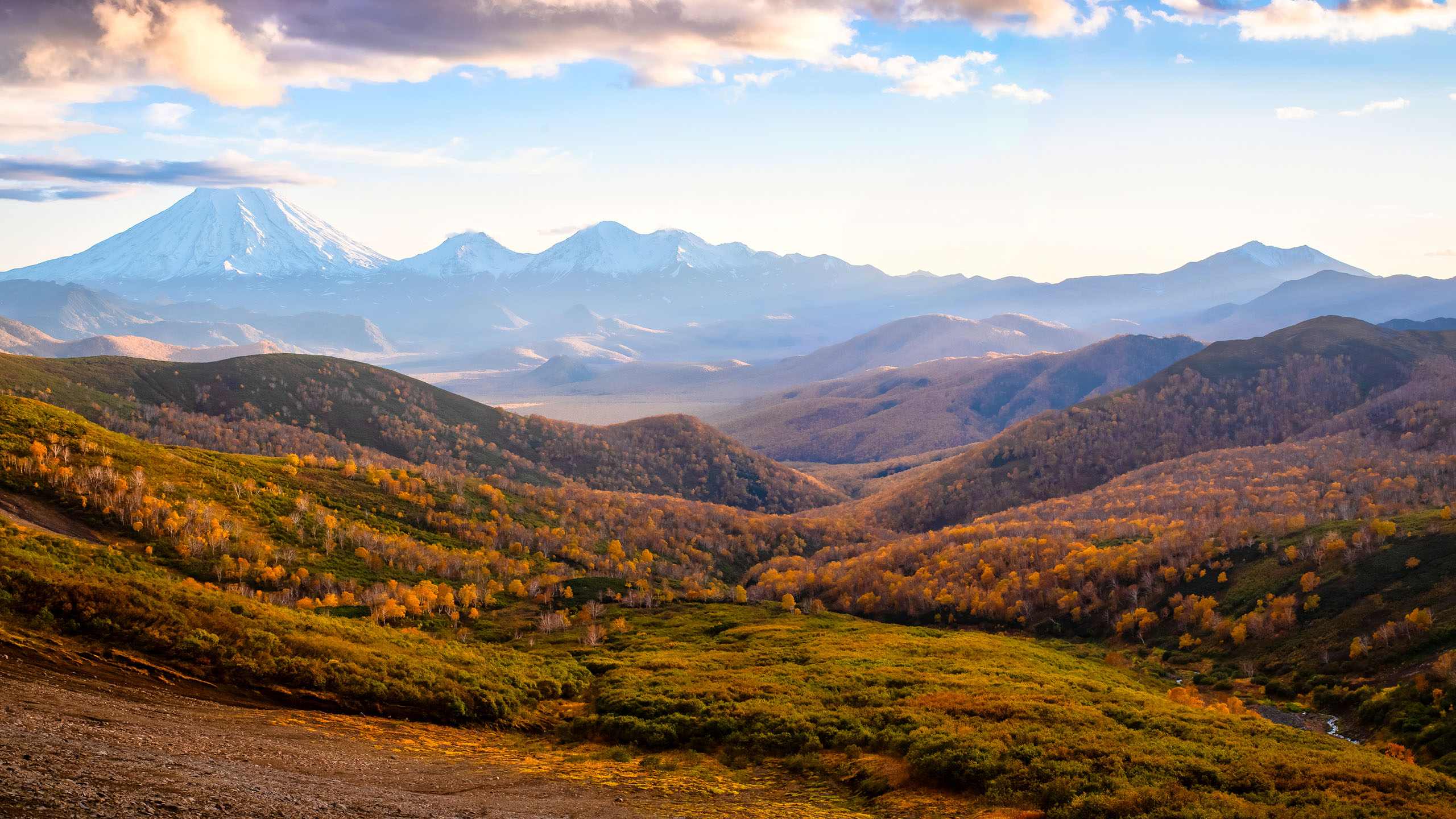 秋意正浓,丘陵,树林