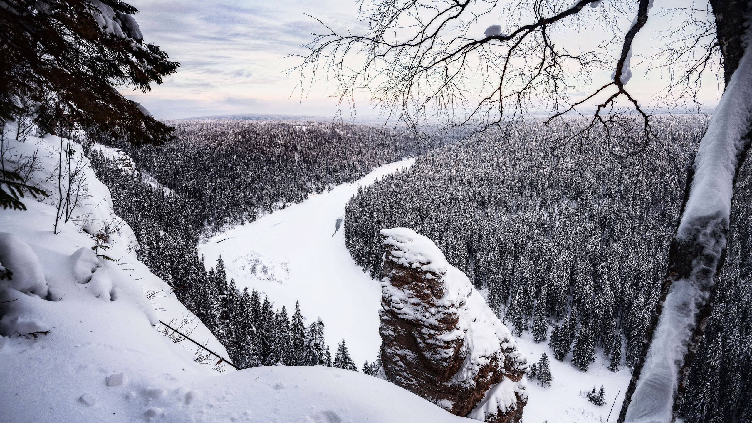 冰天雪地,白雪皑皑,树林