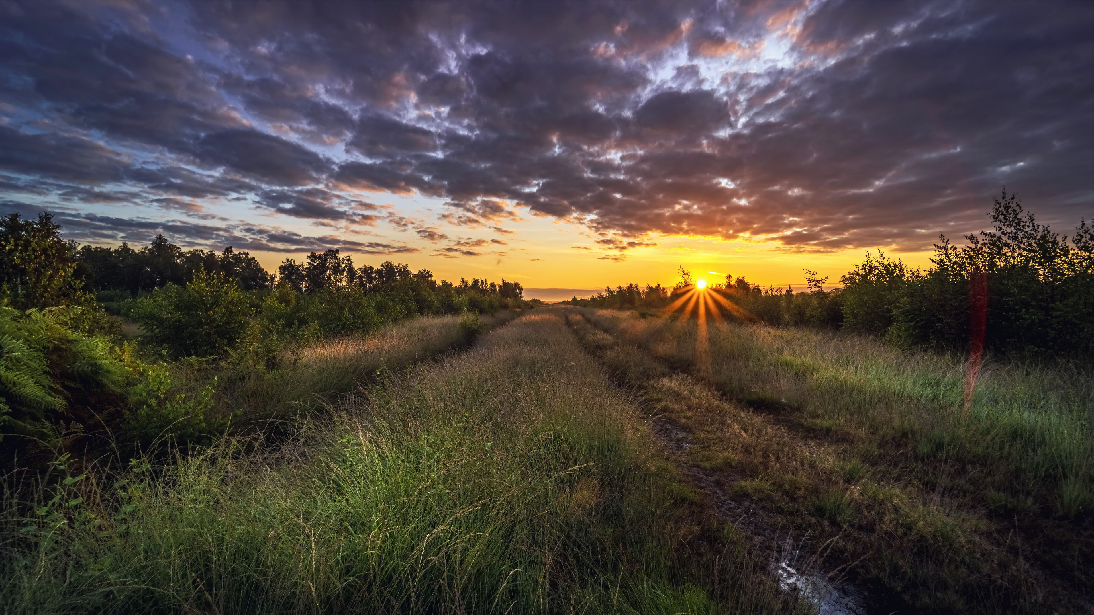 落日余晖,晚霞,郊外庄园,杂草