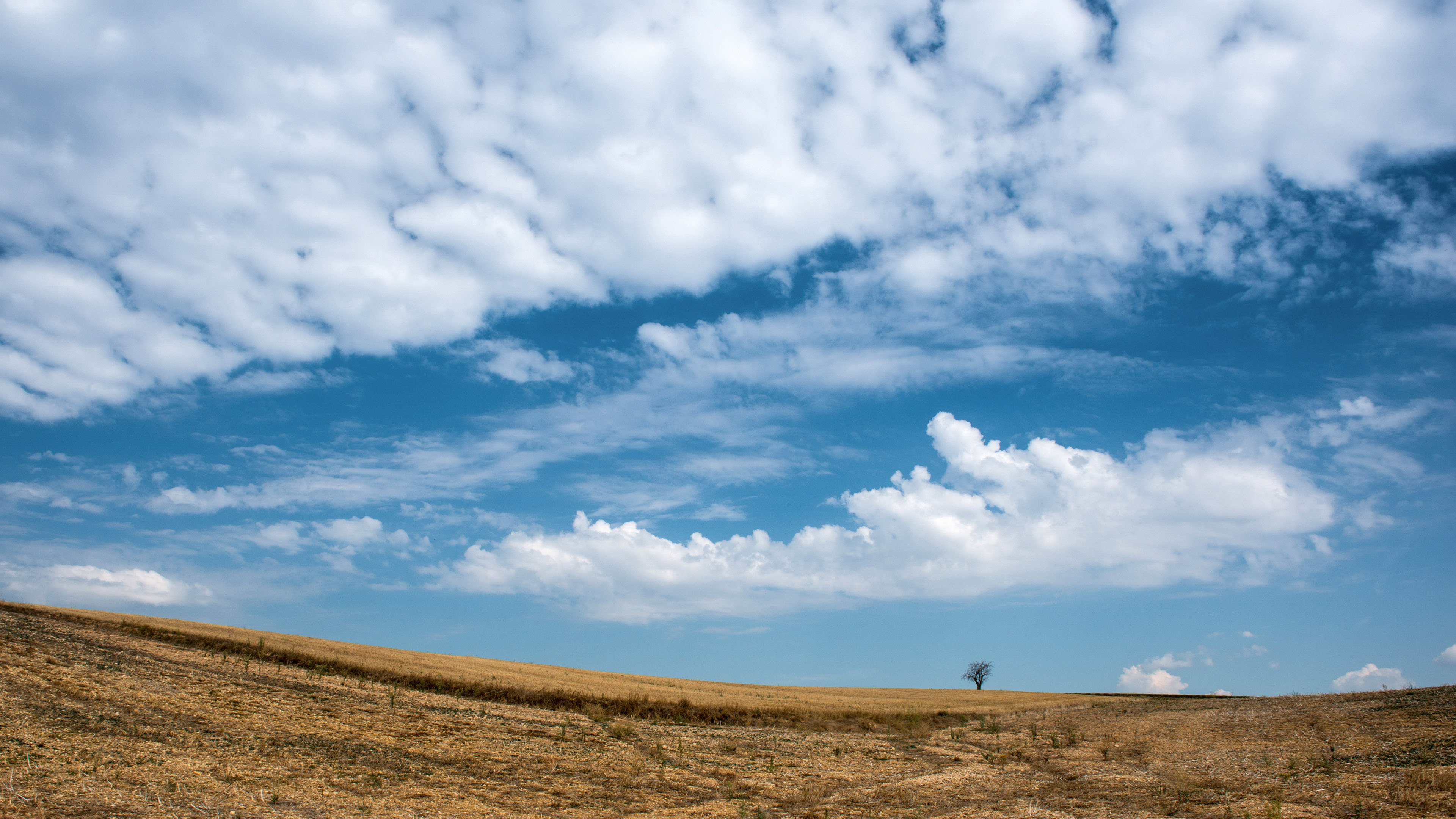 蓝天白云,高原,晴空万里,