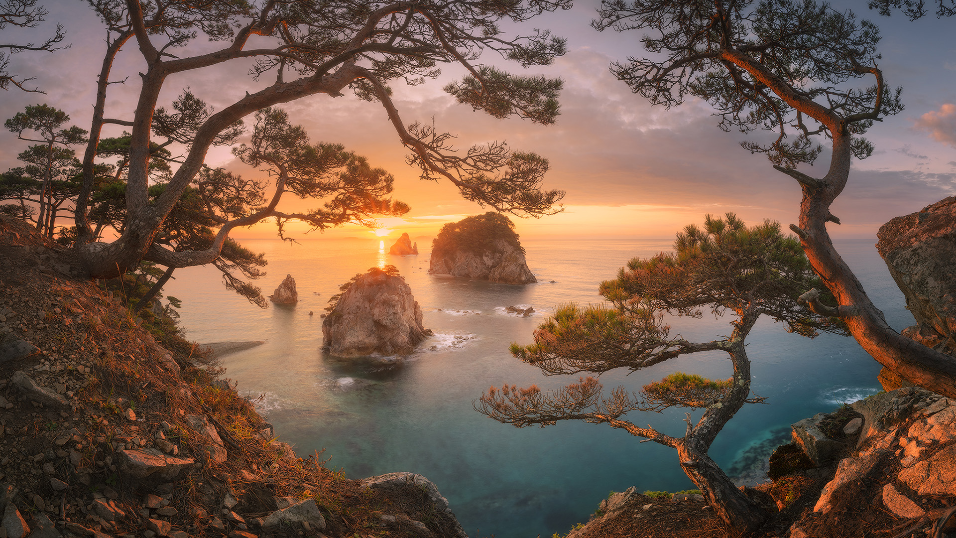 海洋天堂,日出东方,松树,海岛