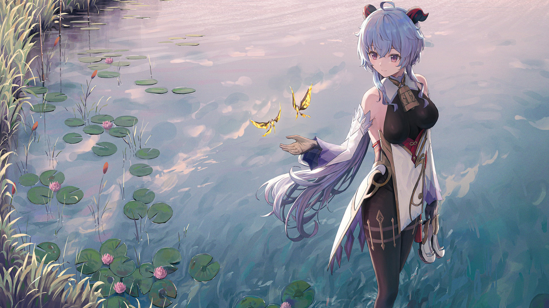 动感手游,蝴蝶,荷塘,荷花