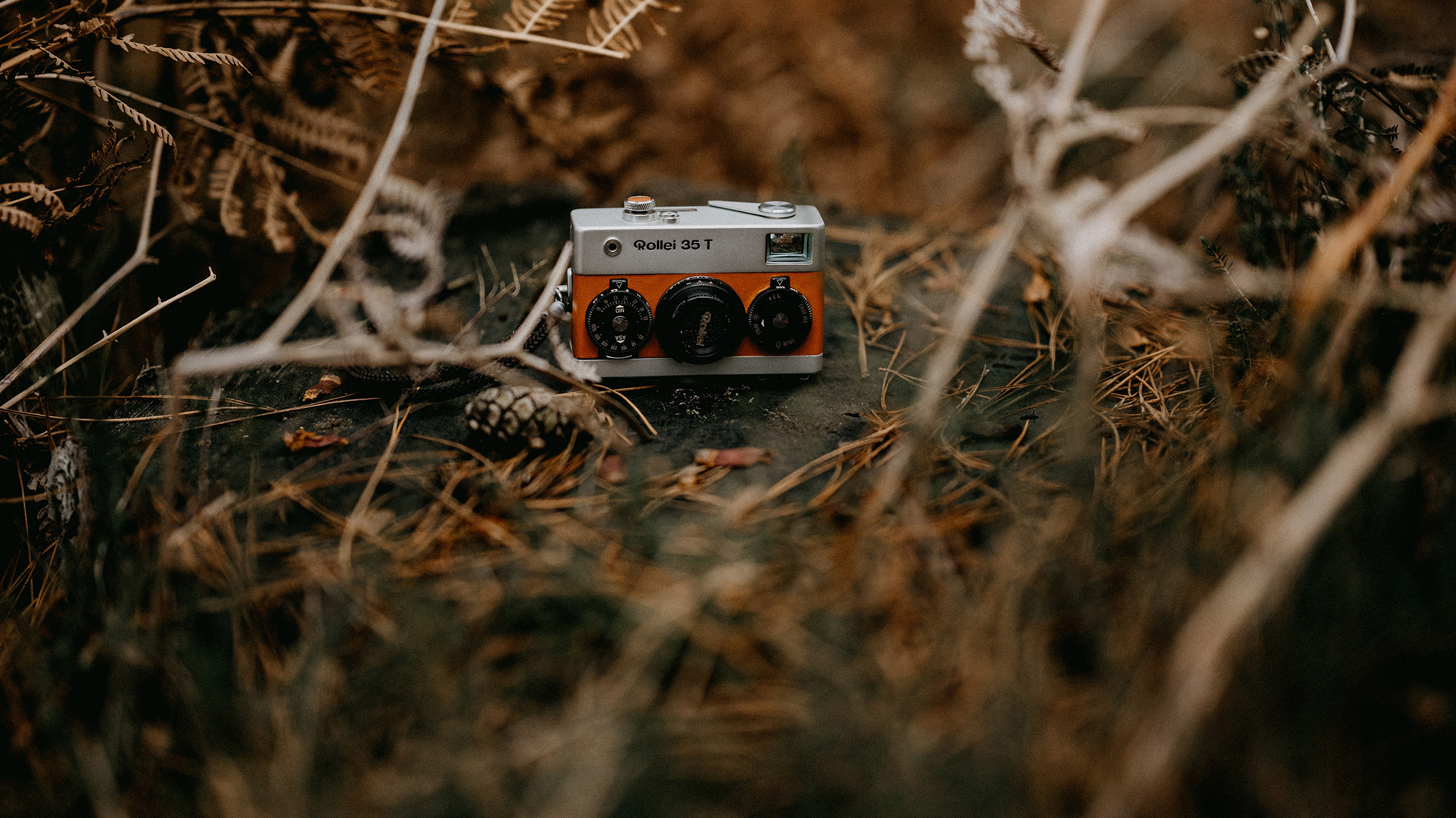 静物写真,照相机,草丛间