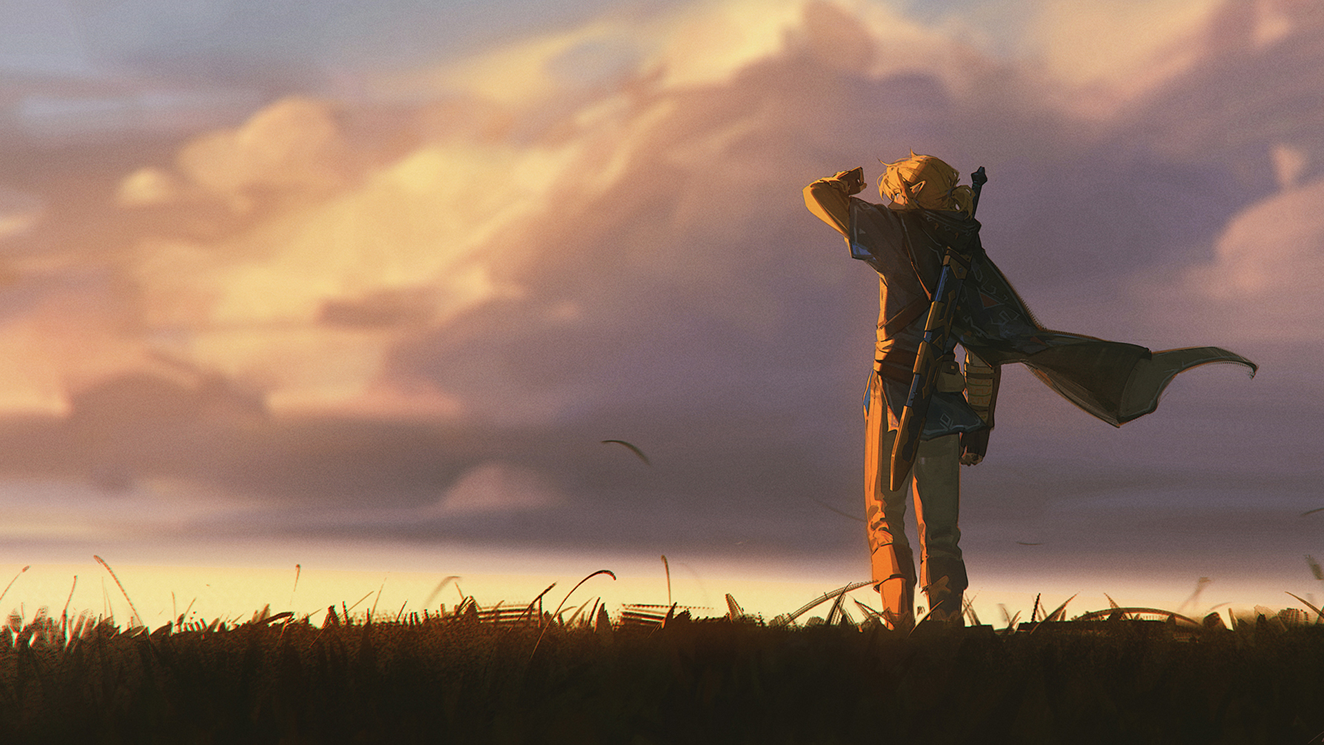 主机游戏,林克,塞尔达,荒野之息